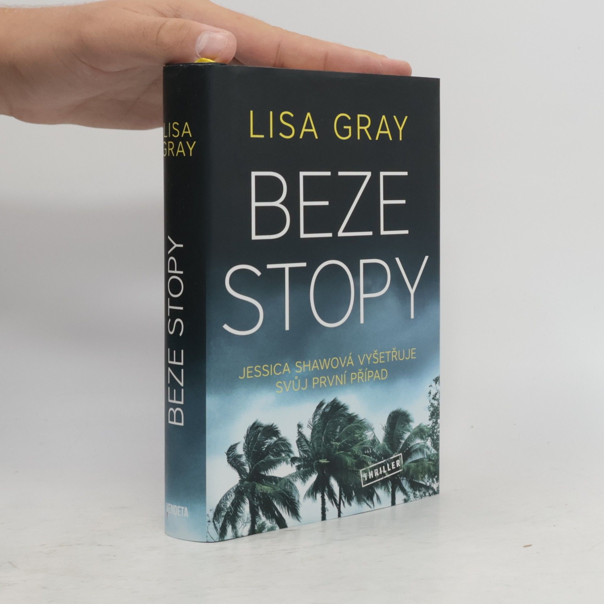 Lisa Gray Beze stopy