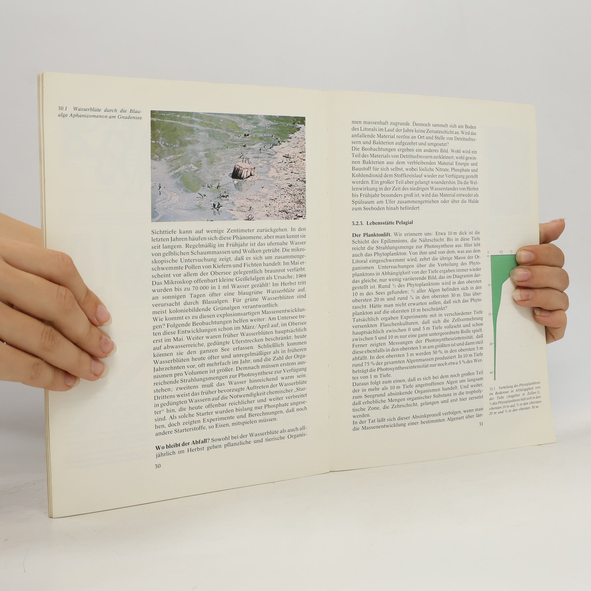 Günther Reichelt CVK-Biologiekolleg: Ökologie exemplarisch