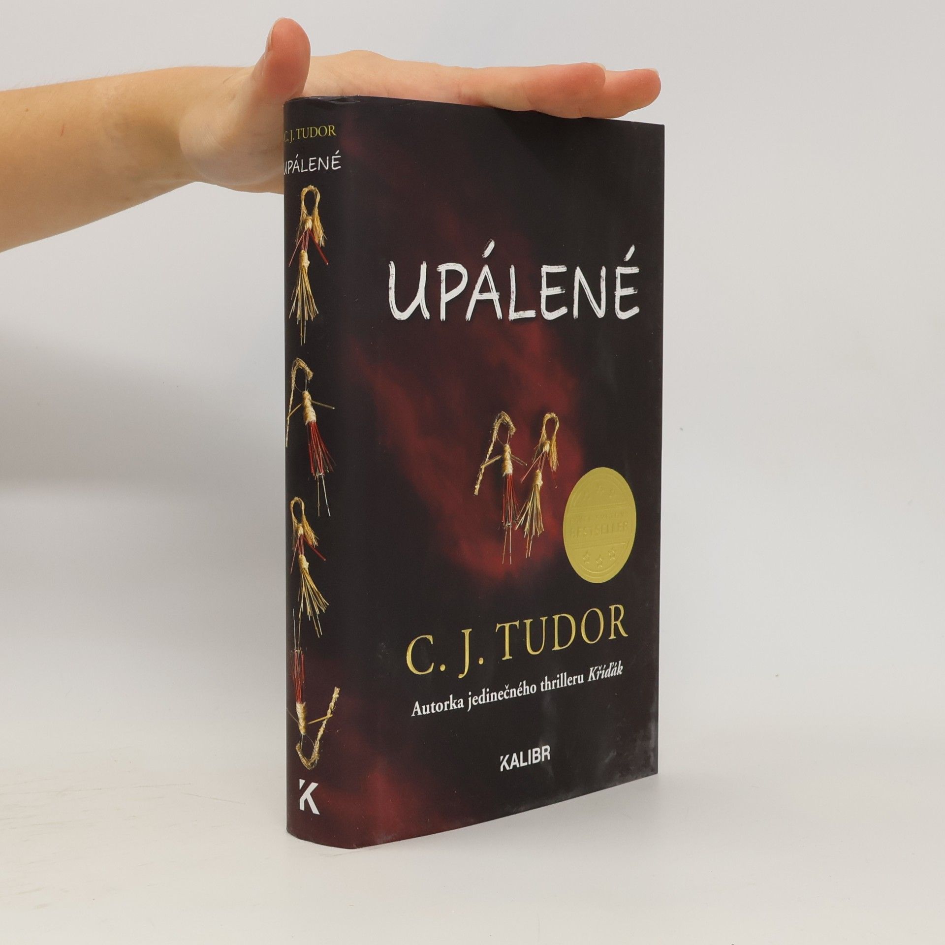 C. J. Tudor Upálené