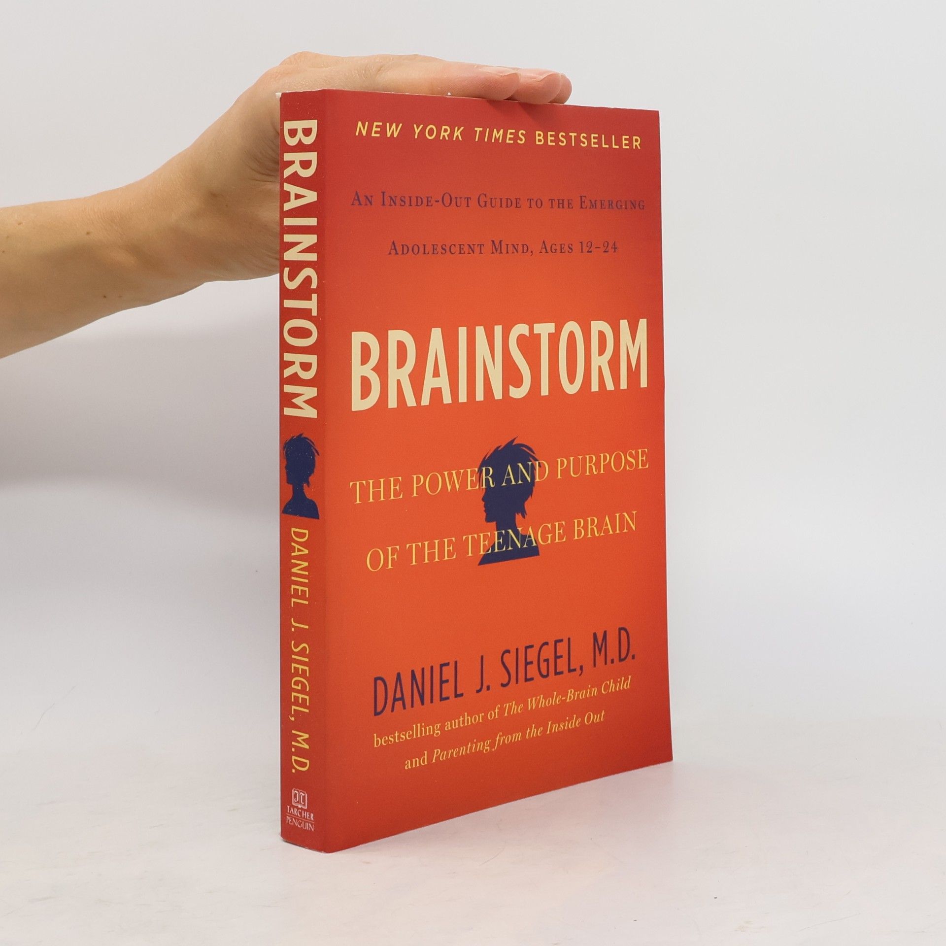 Daniel J. Siegel Brainstorm