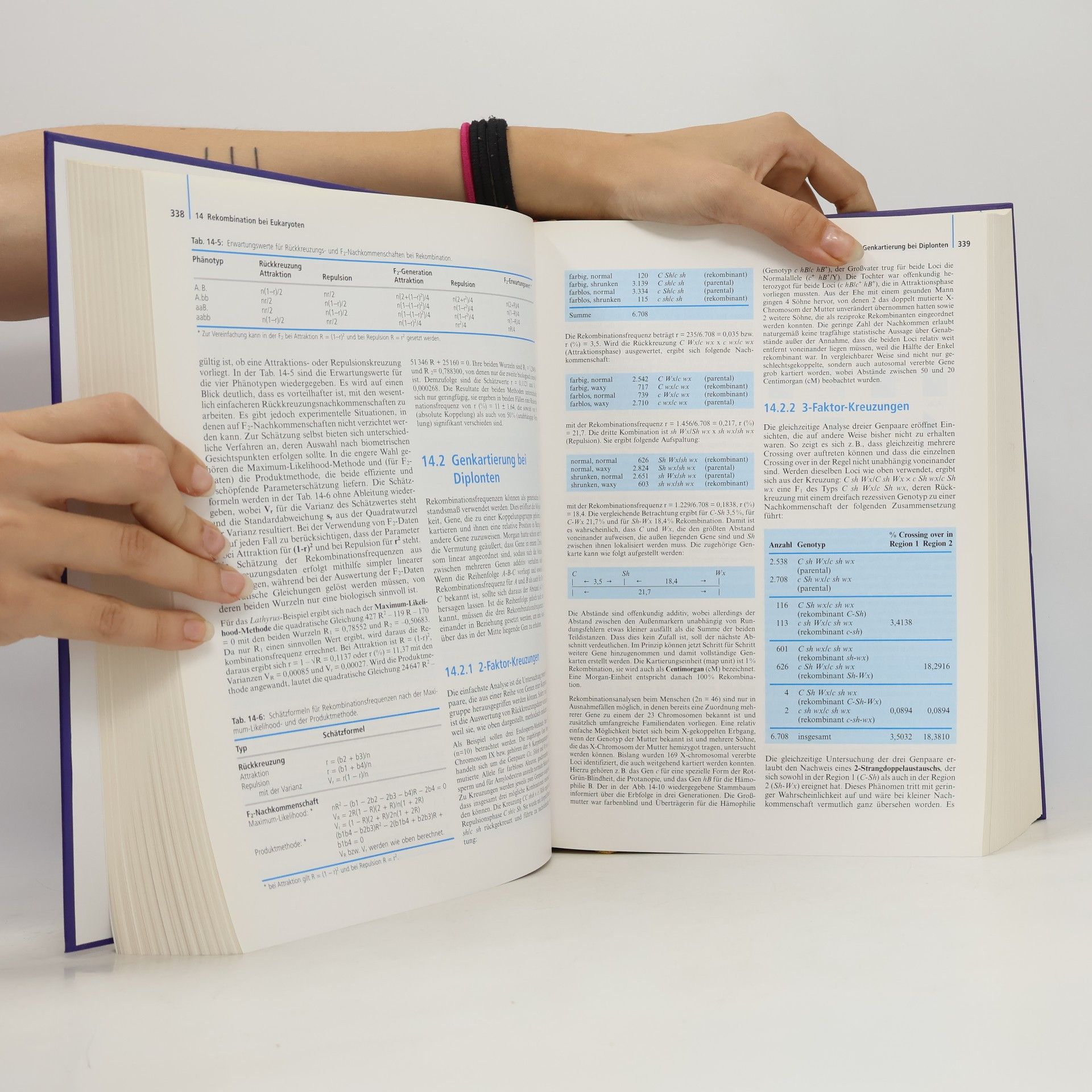 Wilhelm Seyffert Lehrbuch der Genetik