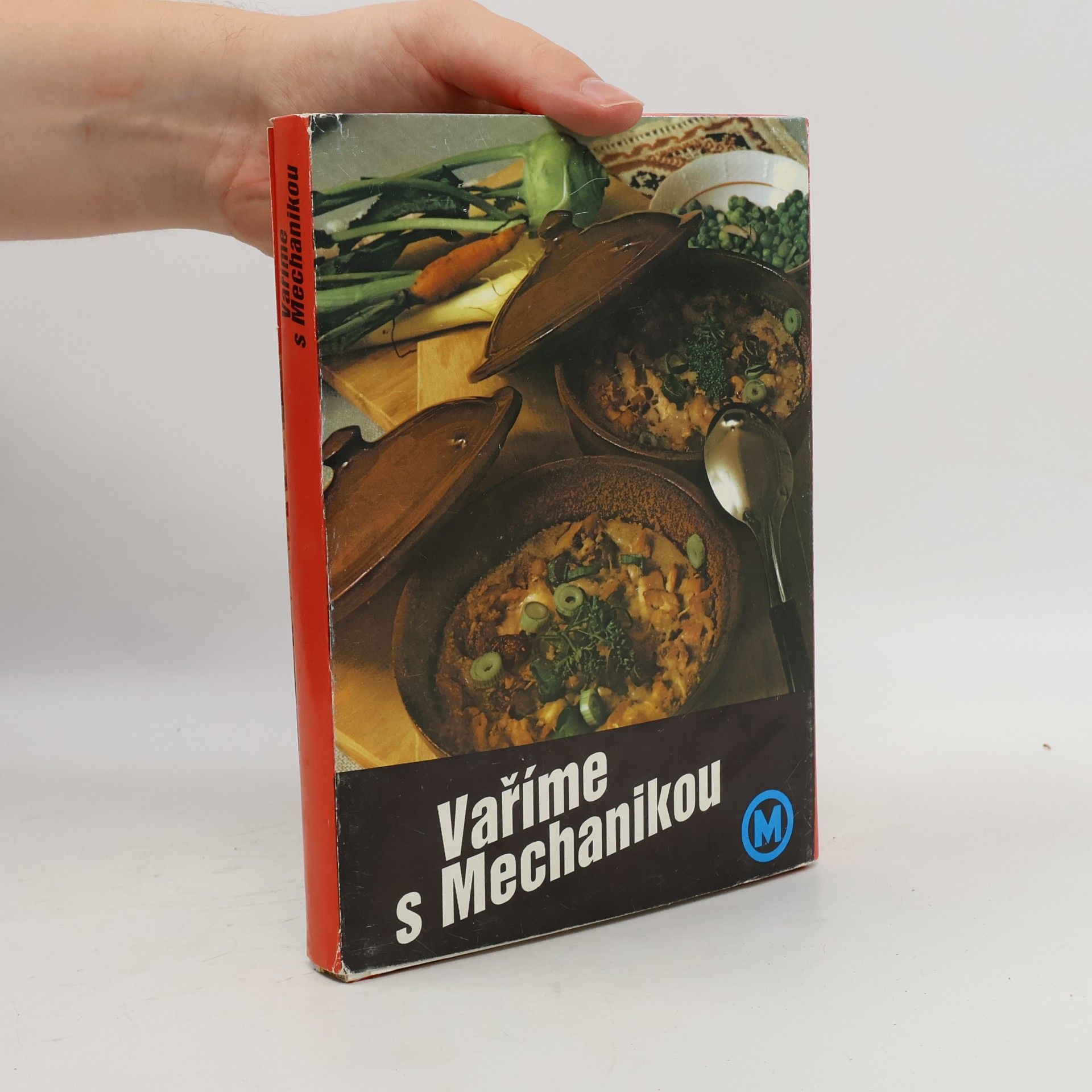Alena Nesládková Vaříme s mechanikou