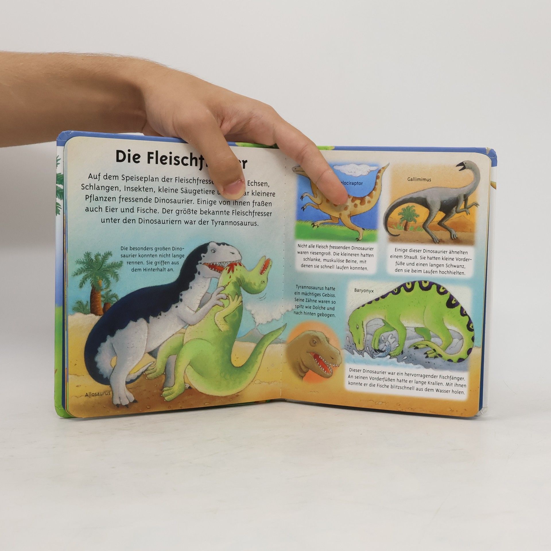 Emilie Beaumont Die Dinosaurier