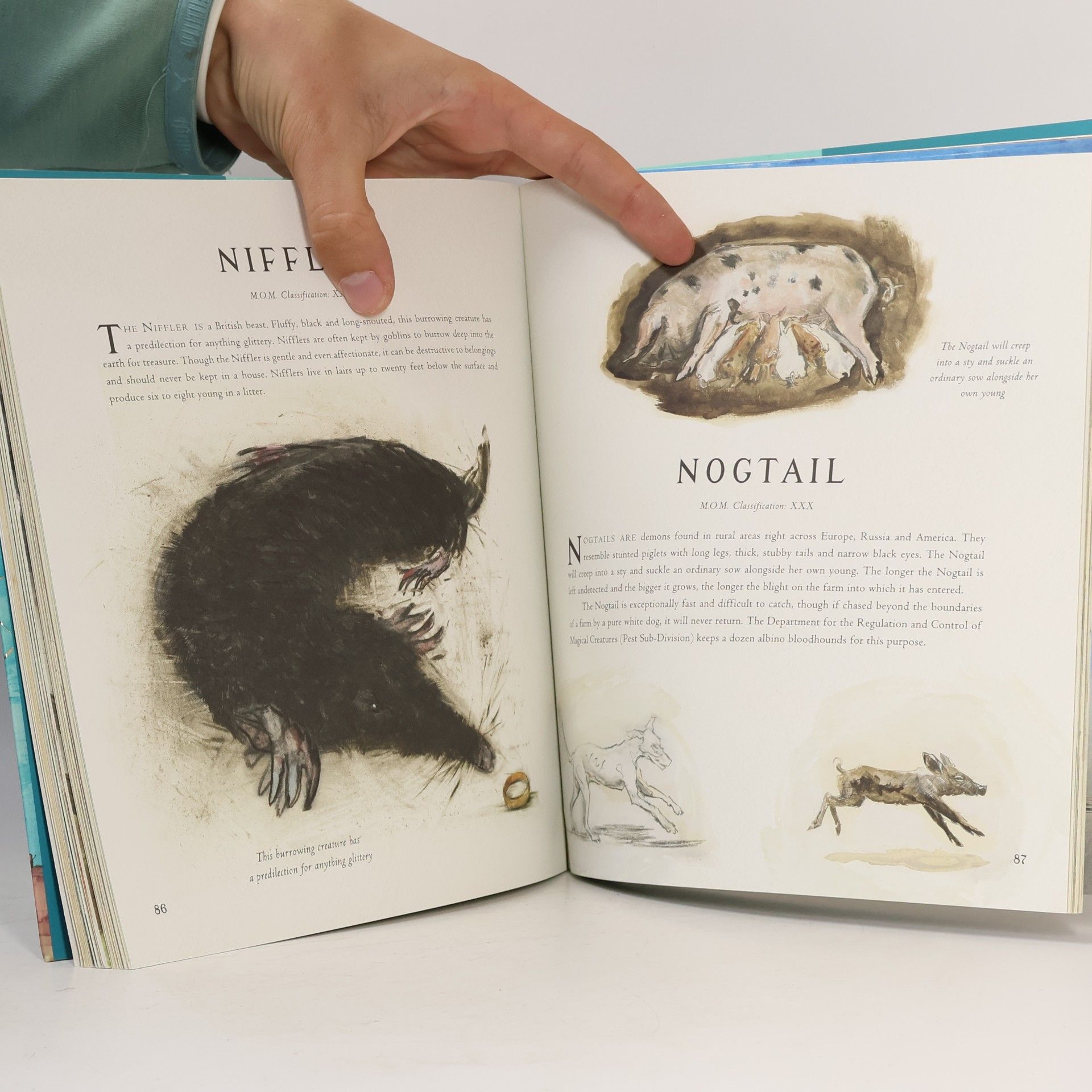Joanne K. Rowlingová Fantastic Beasts and Where to Find Them : Illustrated Edition