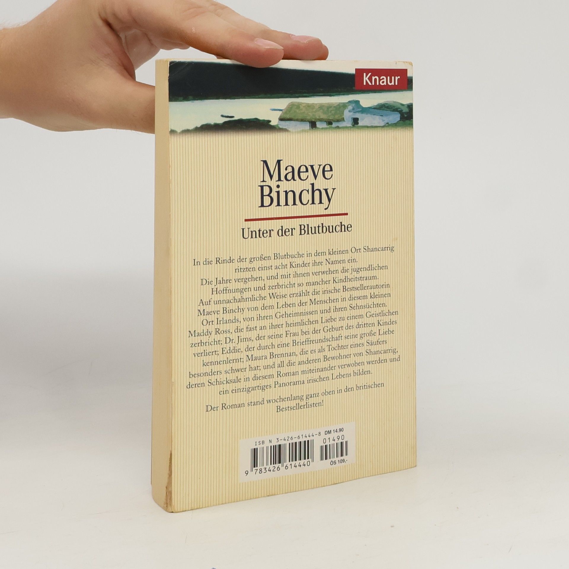 Maeve Binchy Unter der Blutbuche