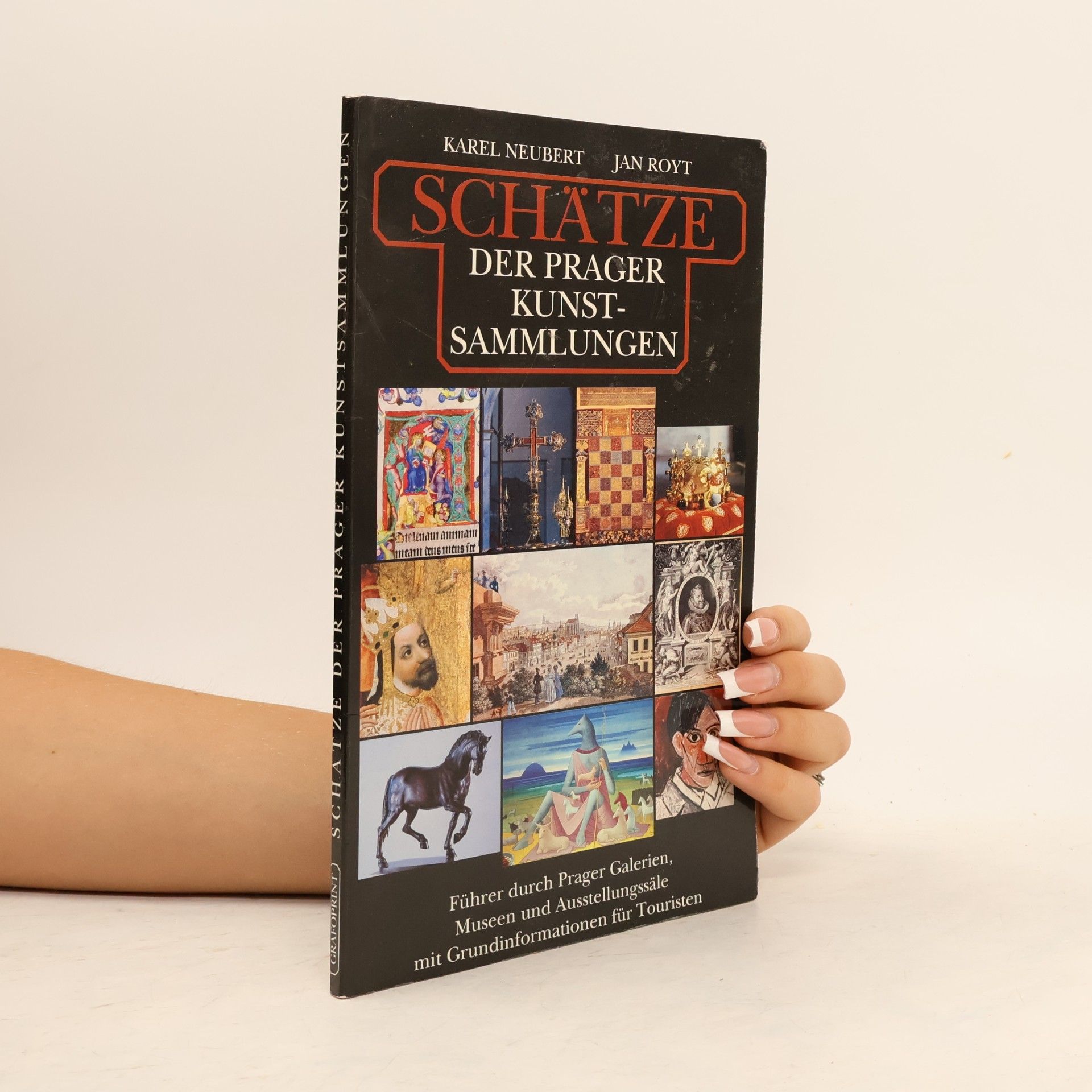 Karel Neubert Schätze der Prager Kunstsammlungen