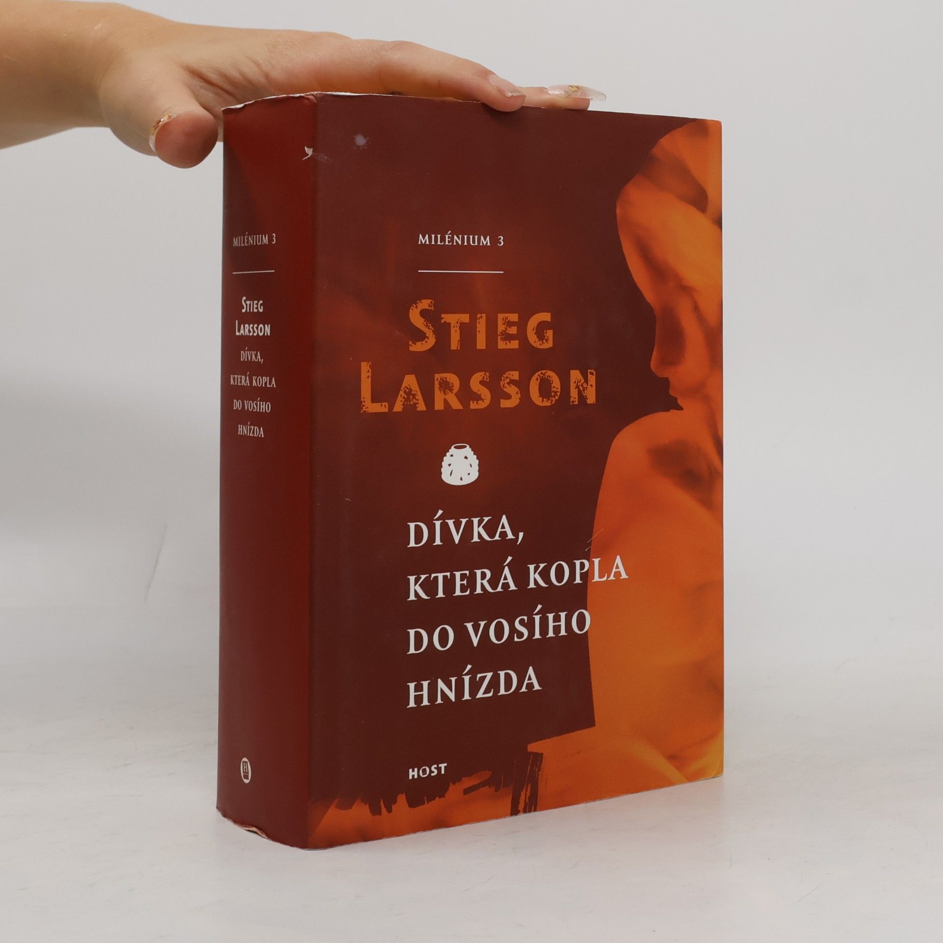 Dívka, která kopla do vosího hnízda