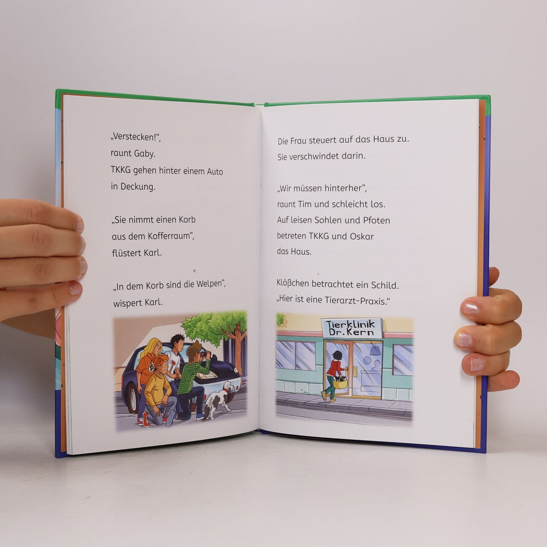 Kirsten Vogel TKKG Junior, Bücherhelden 1. Klasse, Hilfe für die Welpen