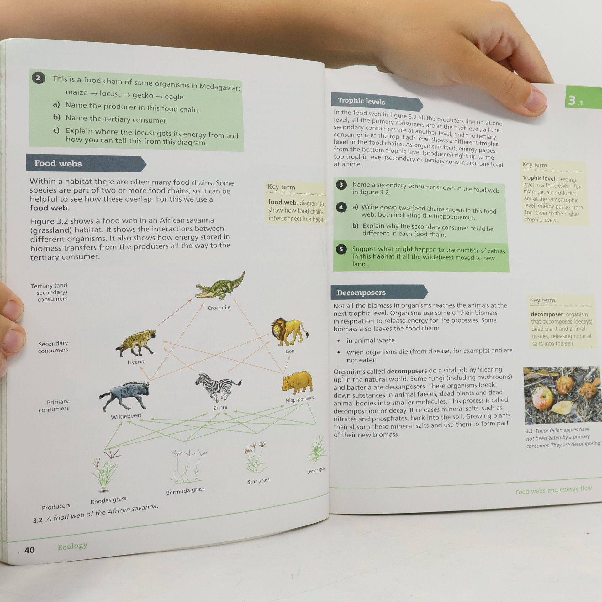Lucy Hawkinson Collins Cambridge Lower Secondary Science - 9: Lower Secondary Science Student's Book: Stage 9