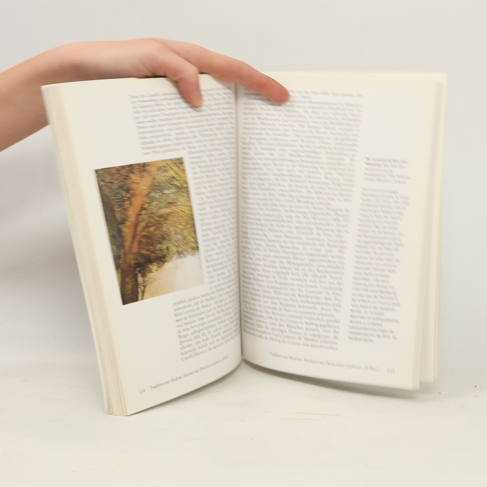 Alison Cole Renaissance von Mailand bis Neapel