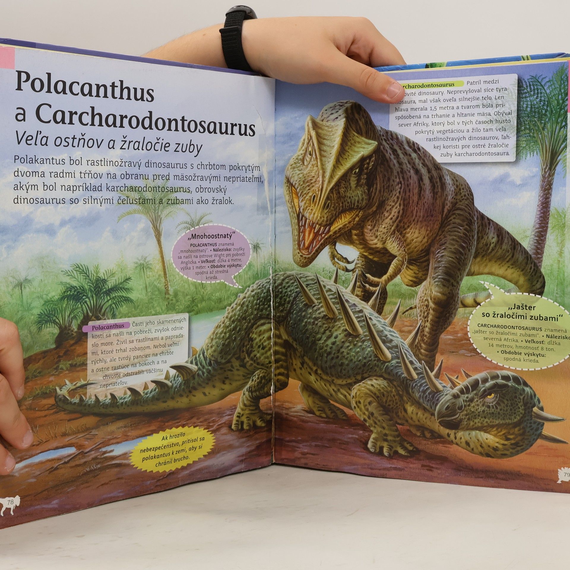 Collectif d'auteurs Encyklopédia dinosaurov