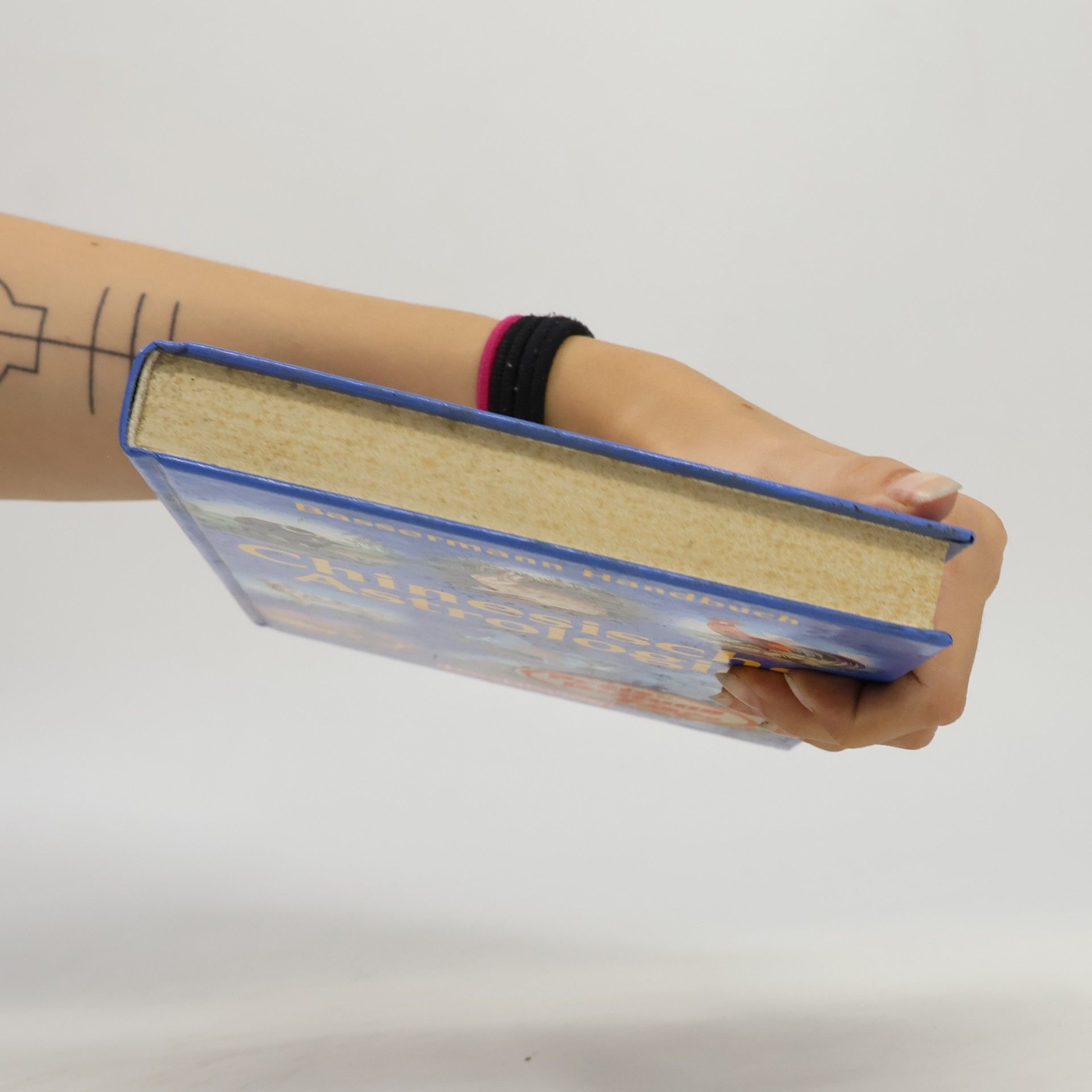 Erika Sauer Bassermann-Handbuch Chinesische Astrologie