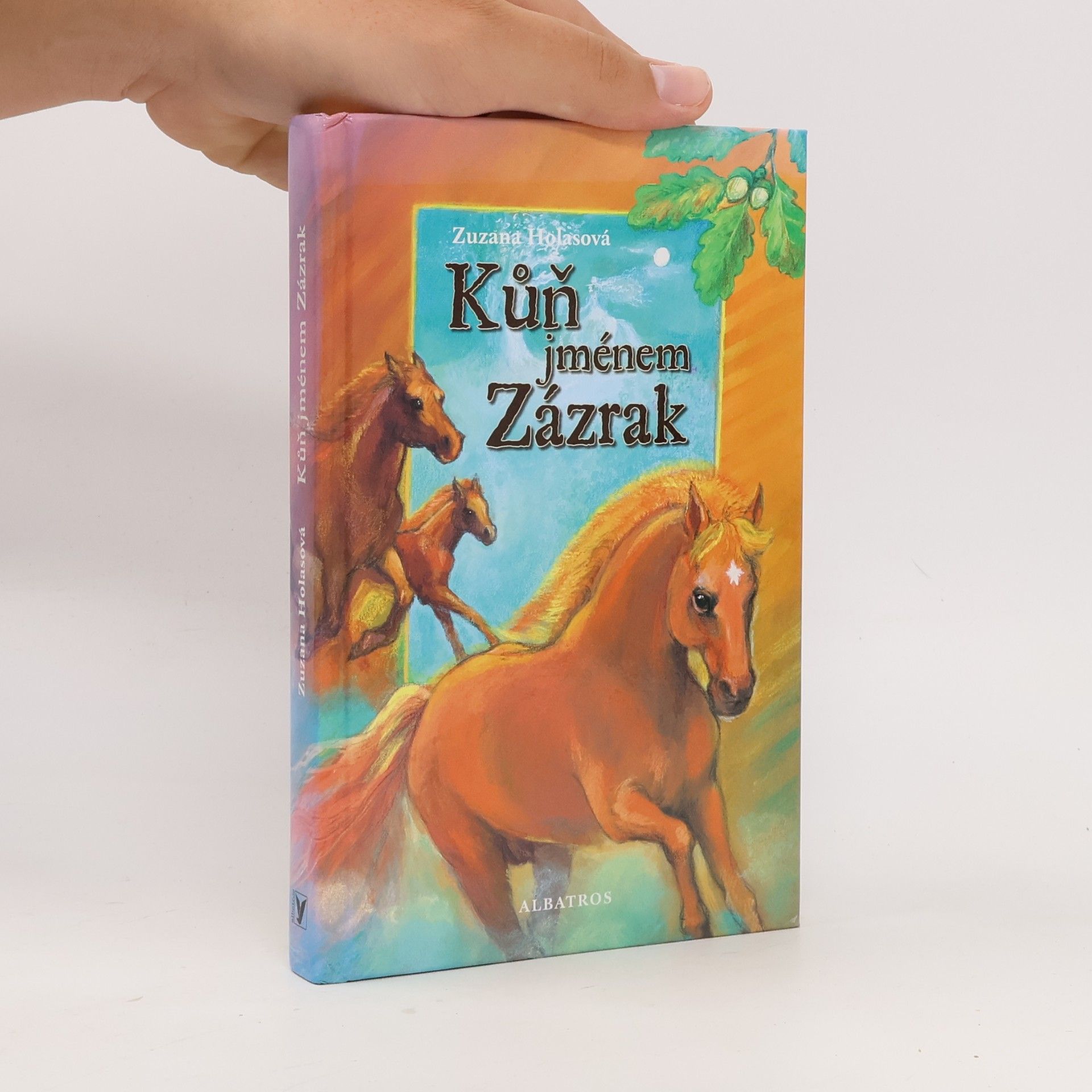 Zuzana Holasová Kůň jménem Zázrak