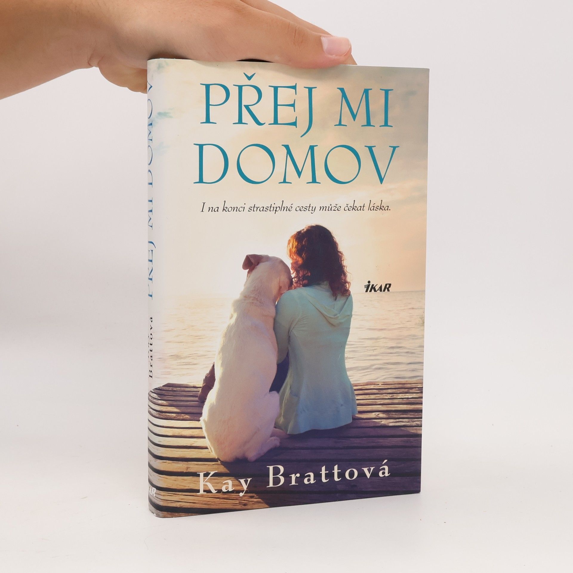 Kay Bratt Přej mi domov