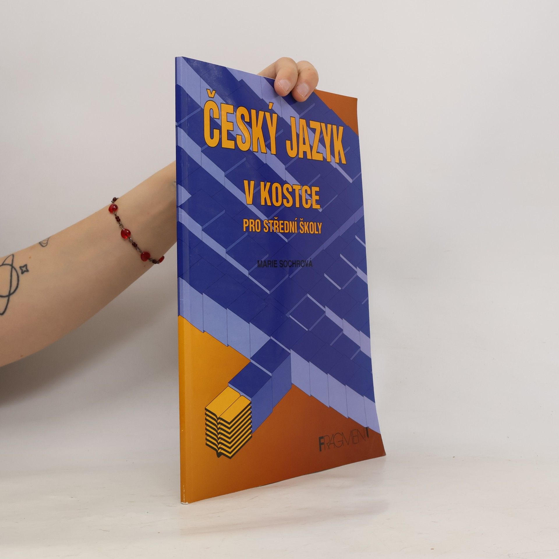 Marie Sochrová Český jazyk v kostce. Pro střední školy