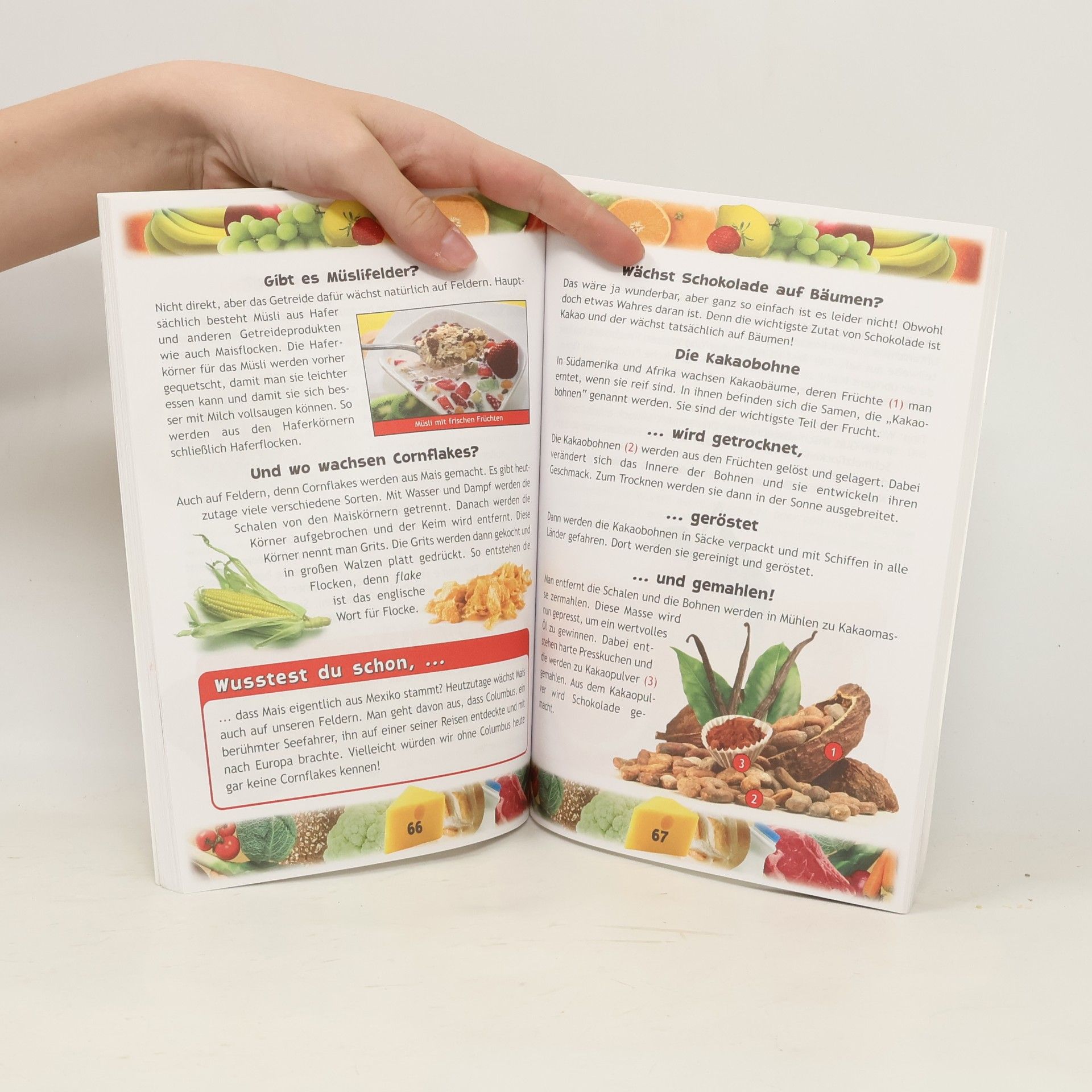 kolektiv Gesundes Essen schmeckt lecker und macht Spass!