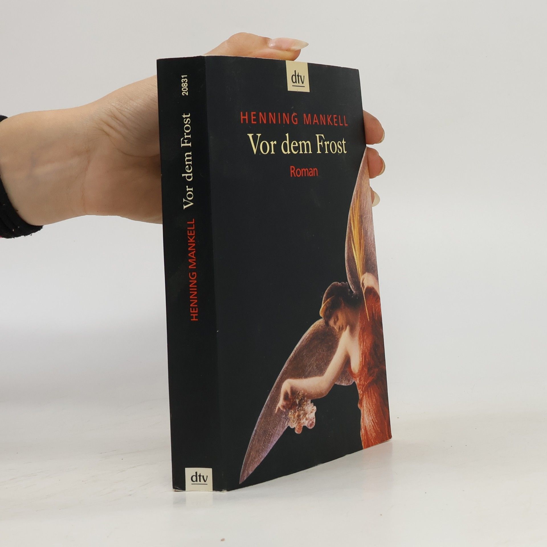 Henning Mankell Vor dem Frost