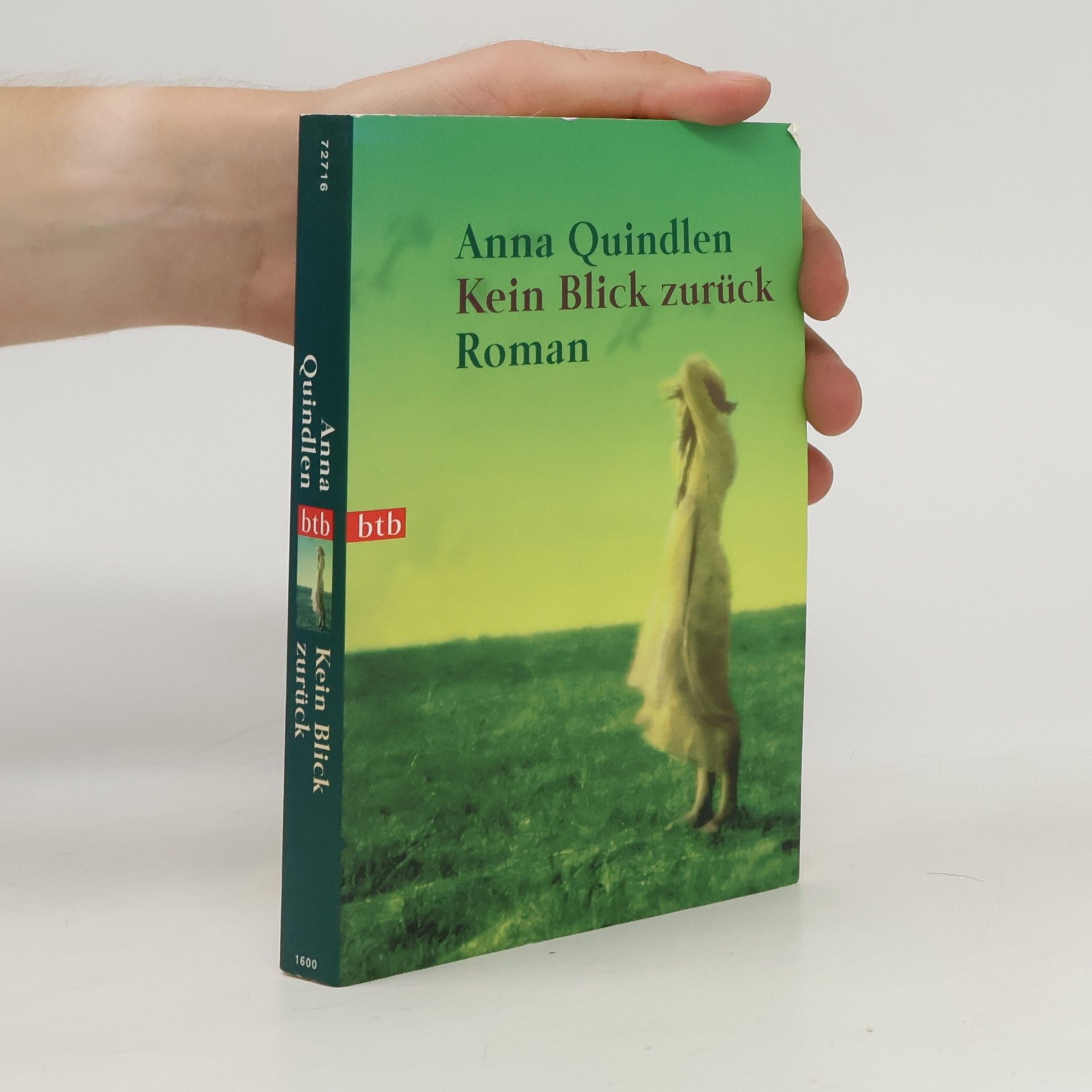 Anna Quindlen Kein Blick zurück