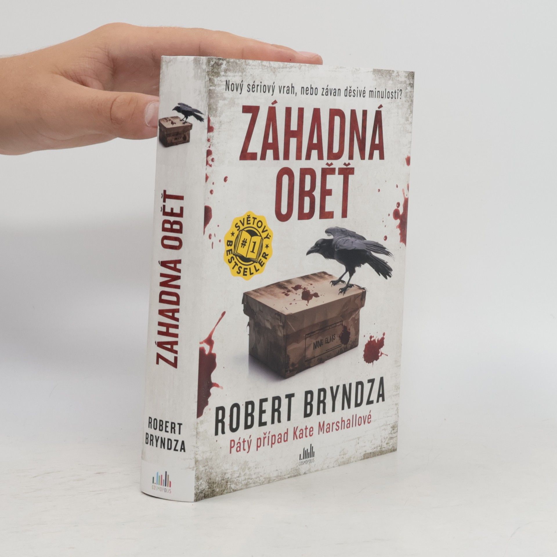 Robert Bryndza Záhadná oběť