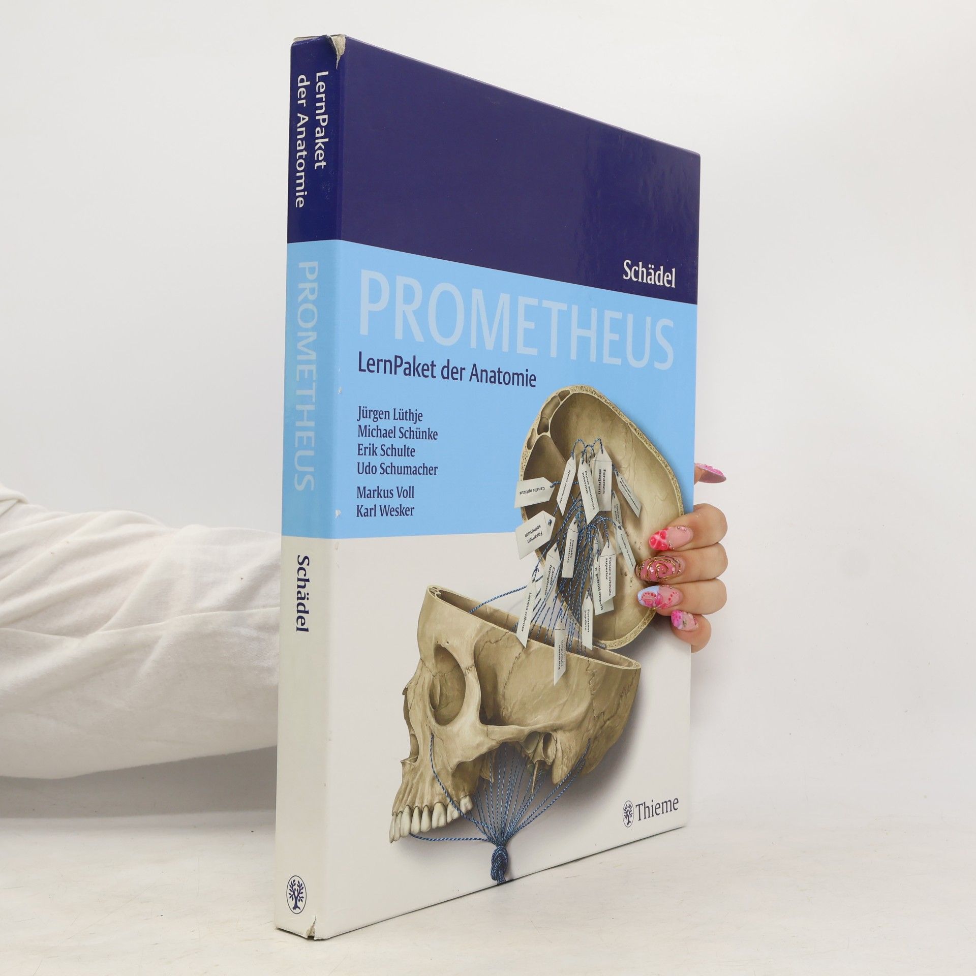 Prometheus Schädel