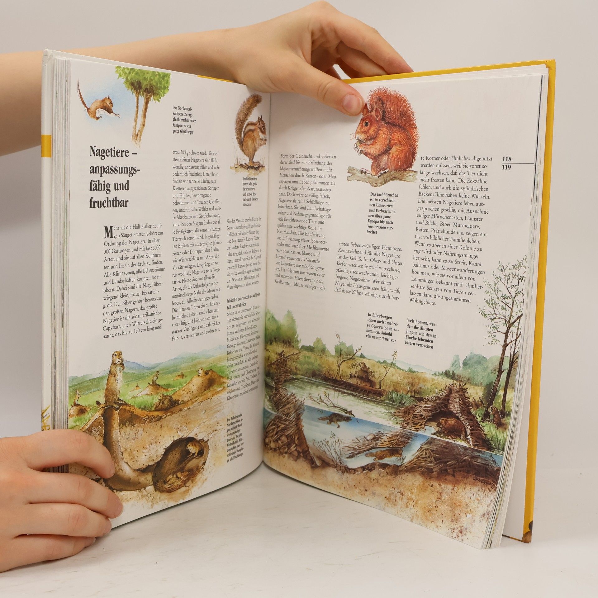 Ursula Dolder Die grosse farbige Tierwelt
