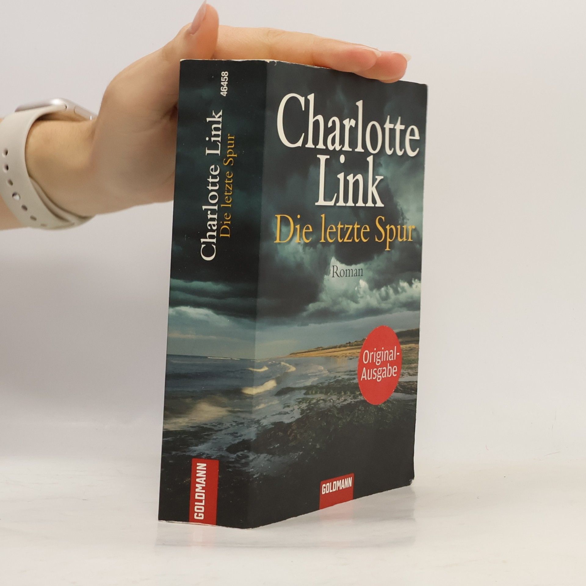 Charlotte Link Die letzte Spur