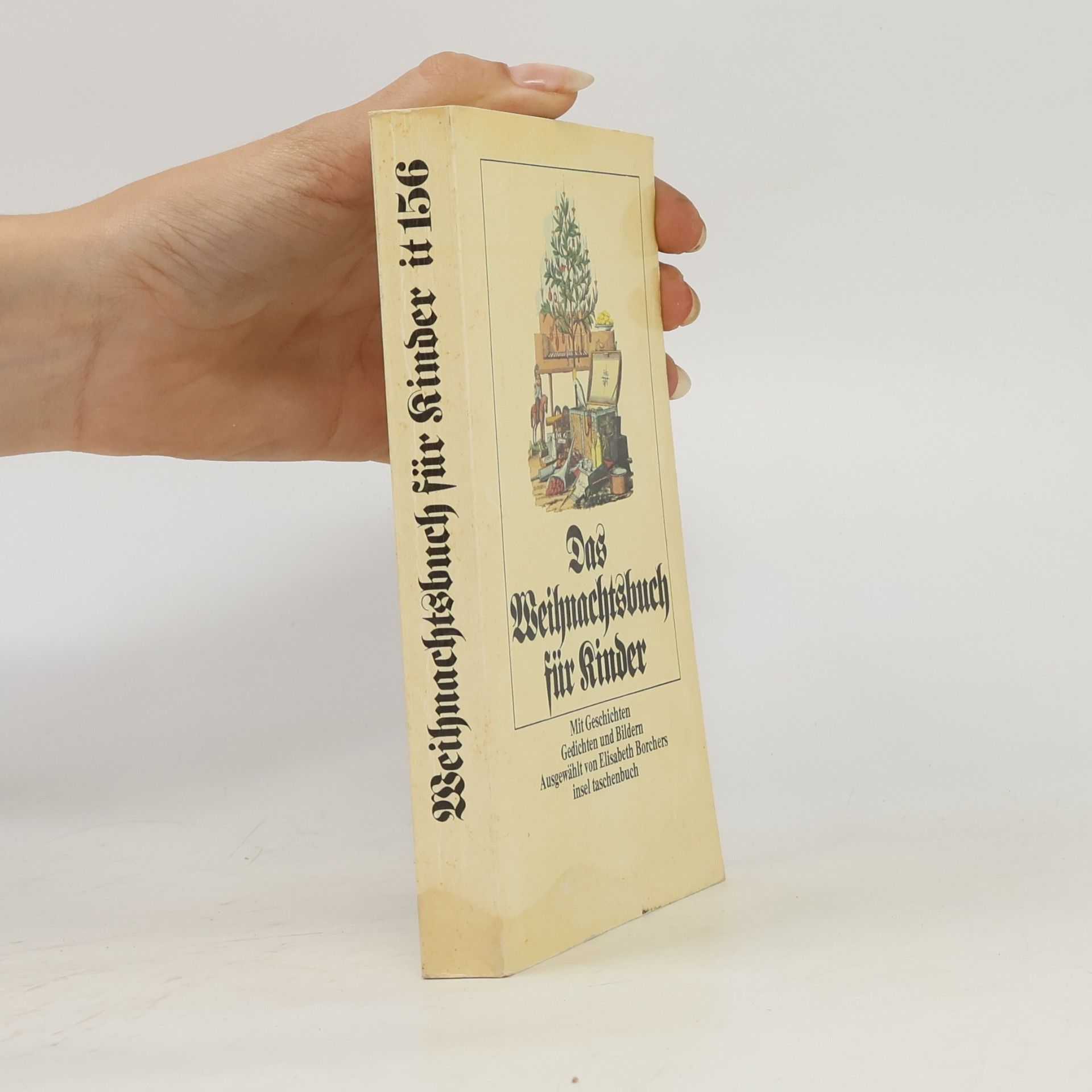 Elisabeth Borchers Das Weihnachtsbuch für Kinder. Mit Geschichten, Gedichten und Bildern