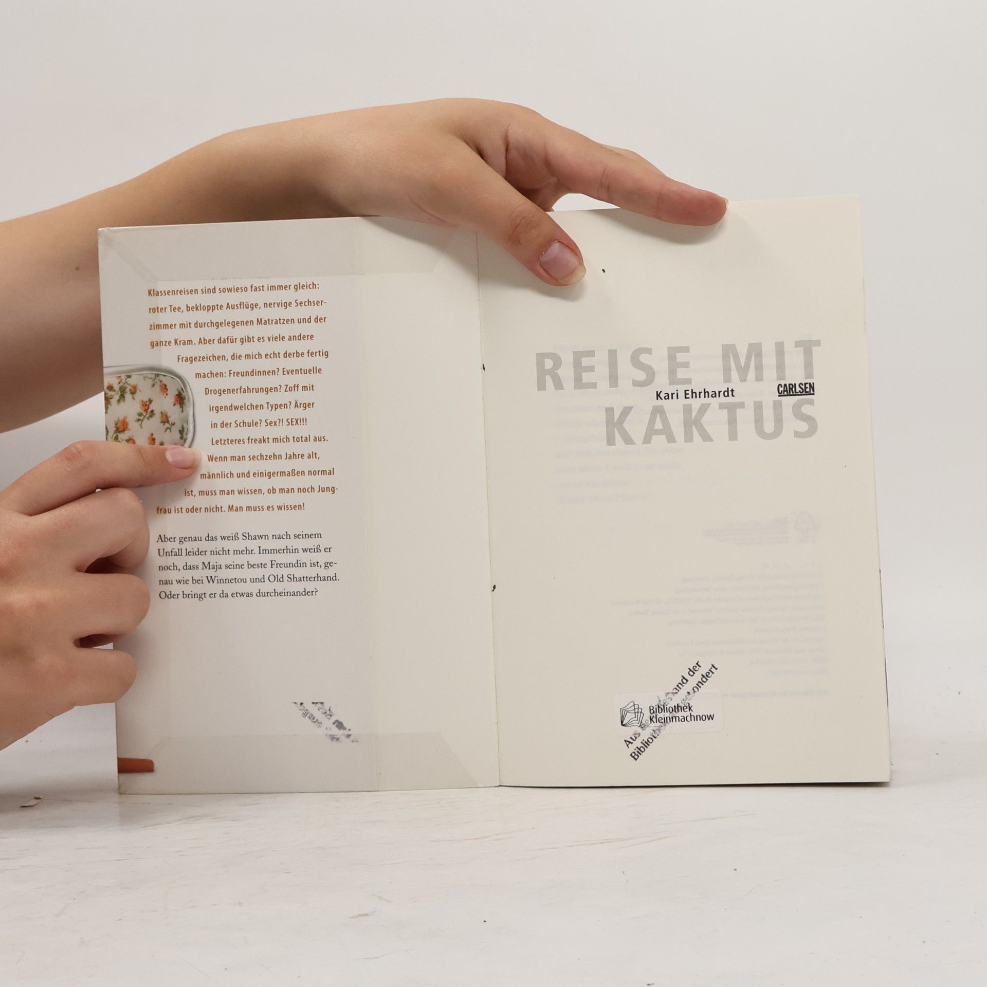 Kari Erlhoff Reise mit Kaktus