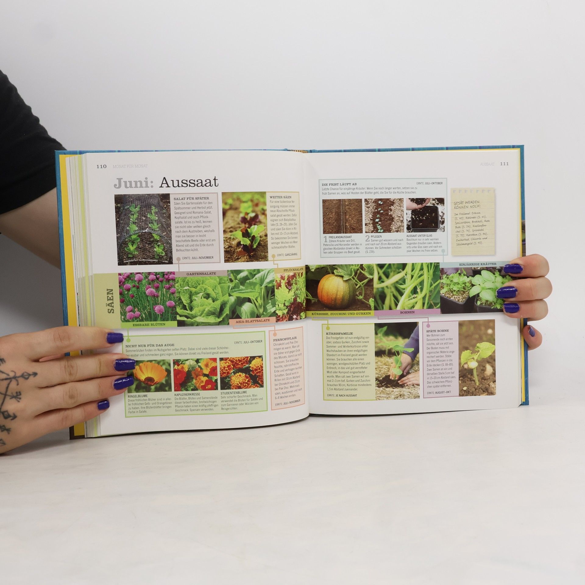 Jo Whittingham Frisch aus meinem Garten