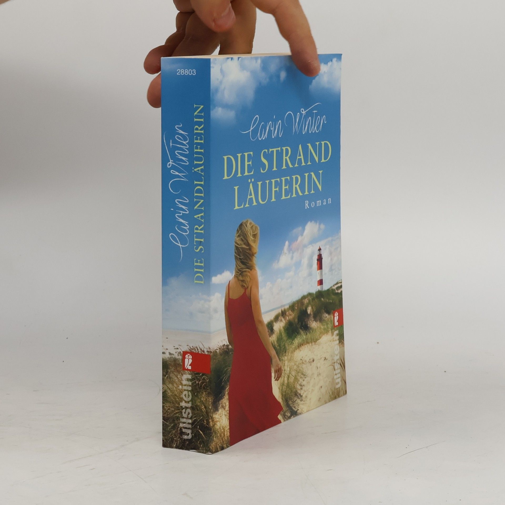 Carin Winter Die Strandläuferin