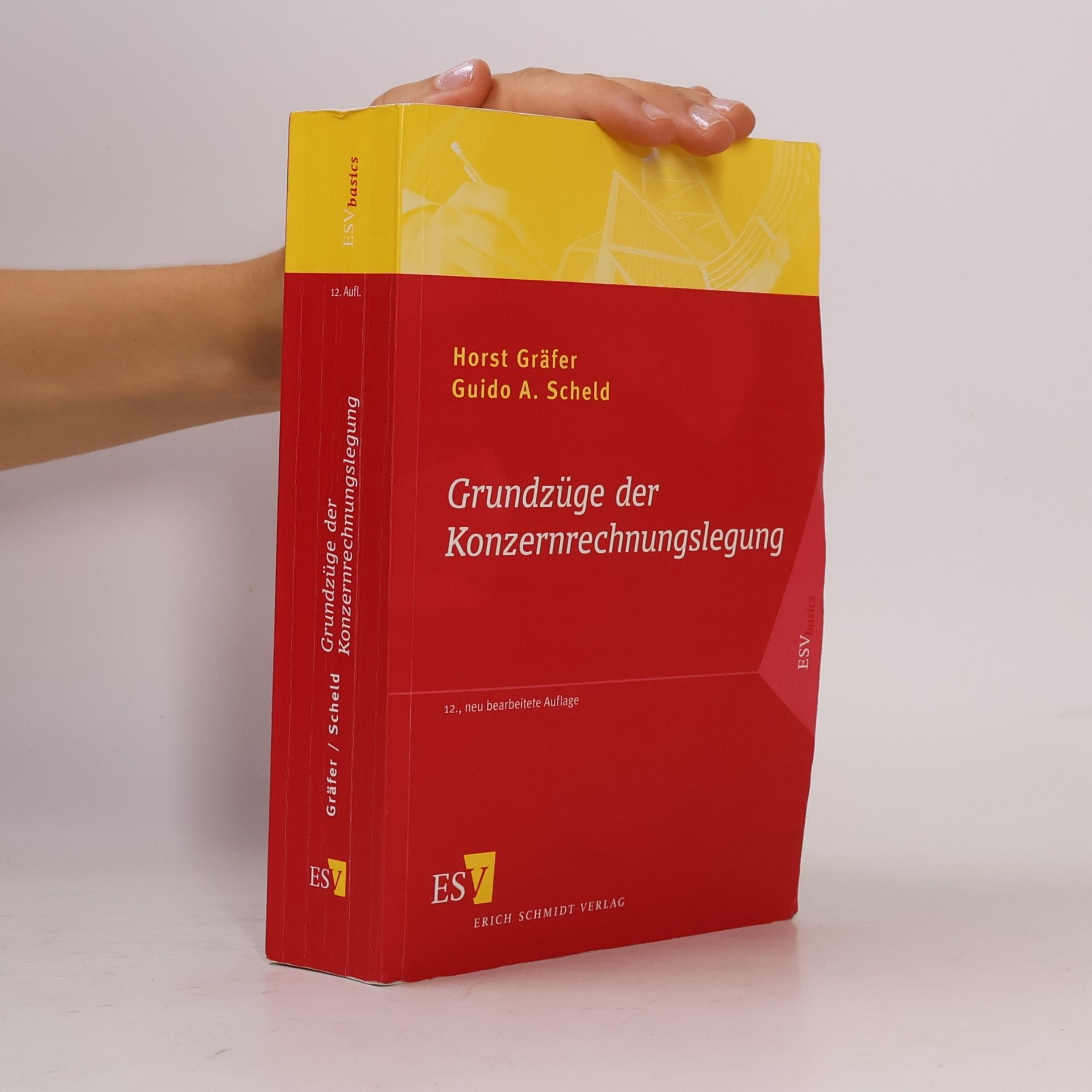 Grundzüge der Konzernrechnungslegung