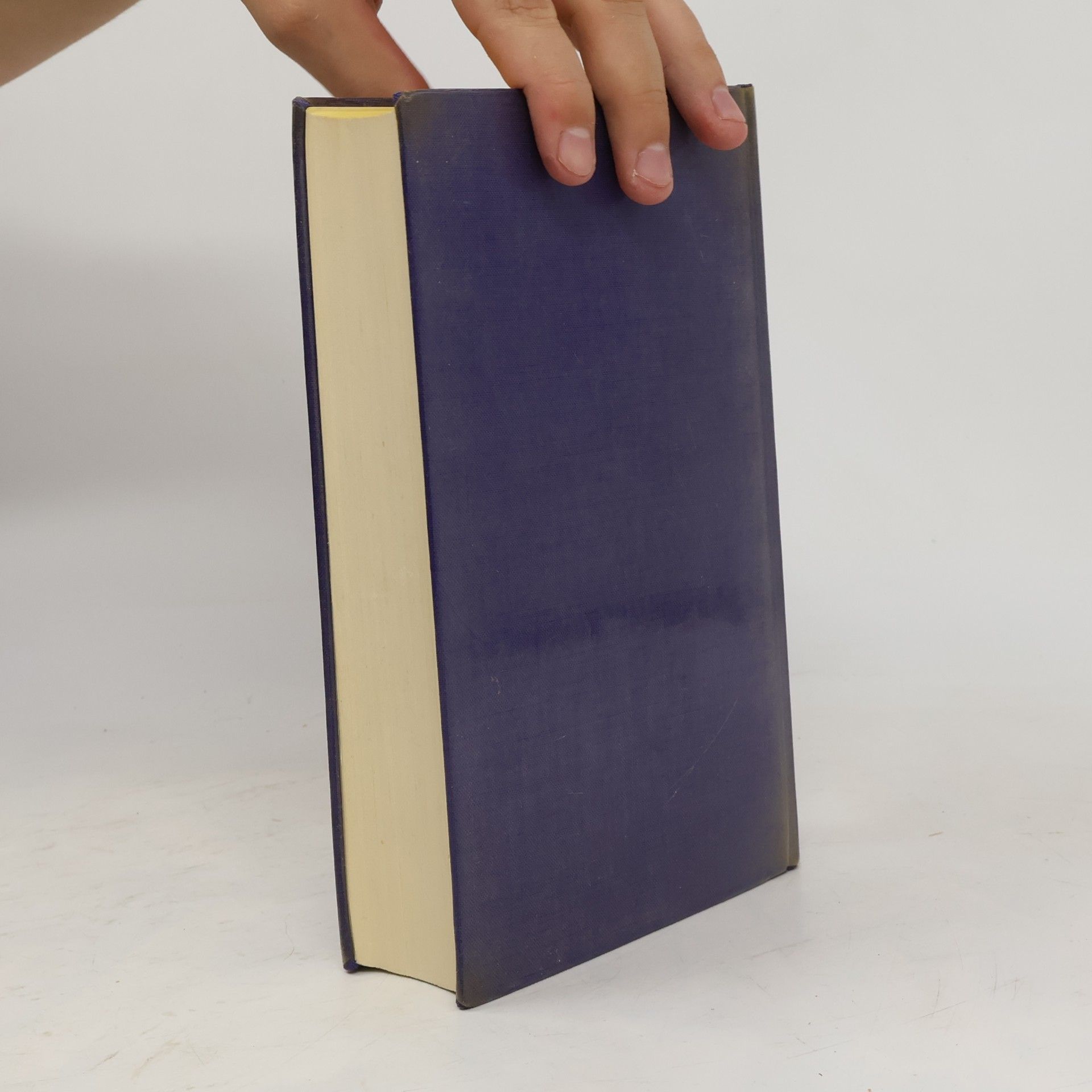Autorenkollektiv Das Bertolt Brecht Buch