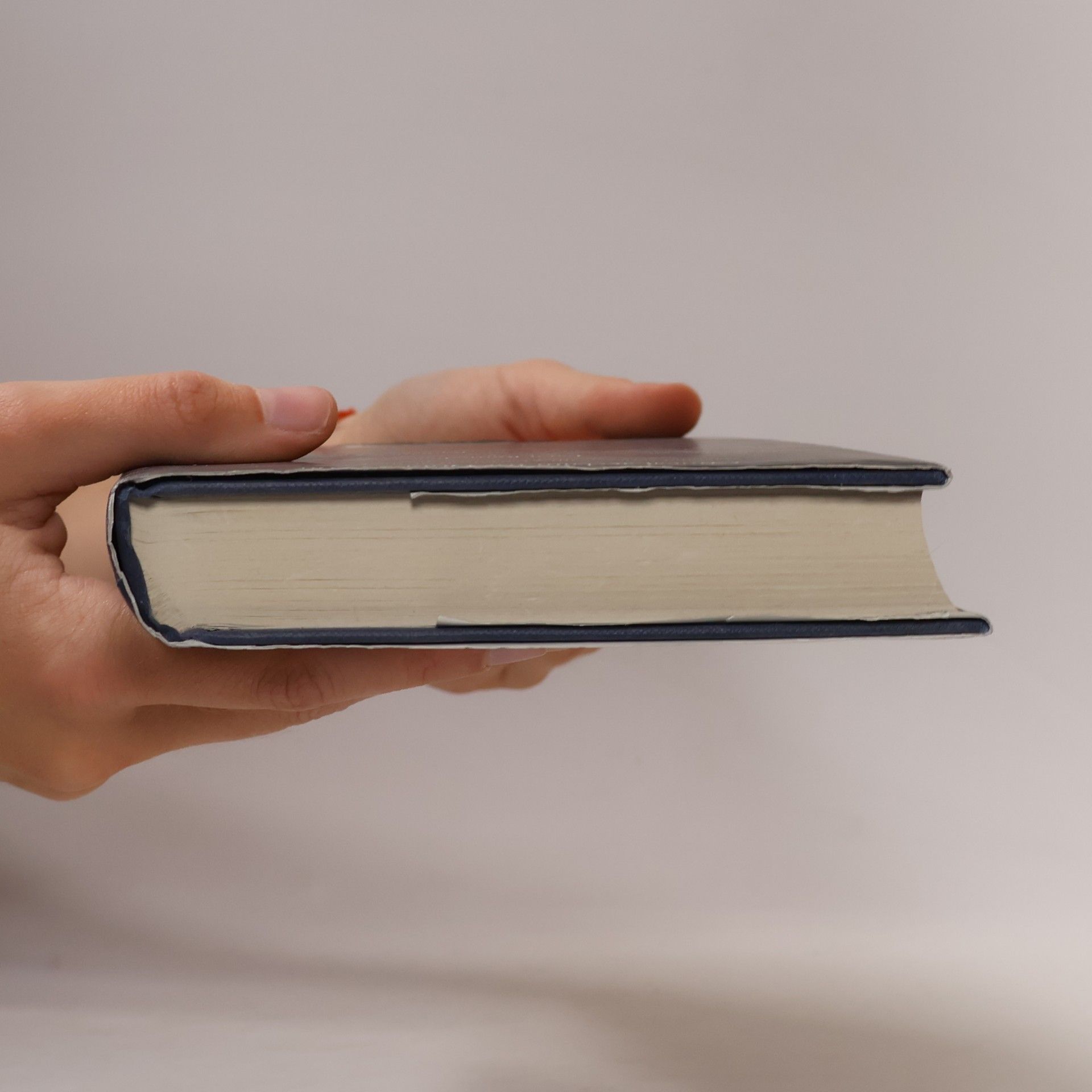 Donna Leon Friends in High Places