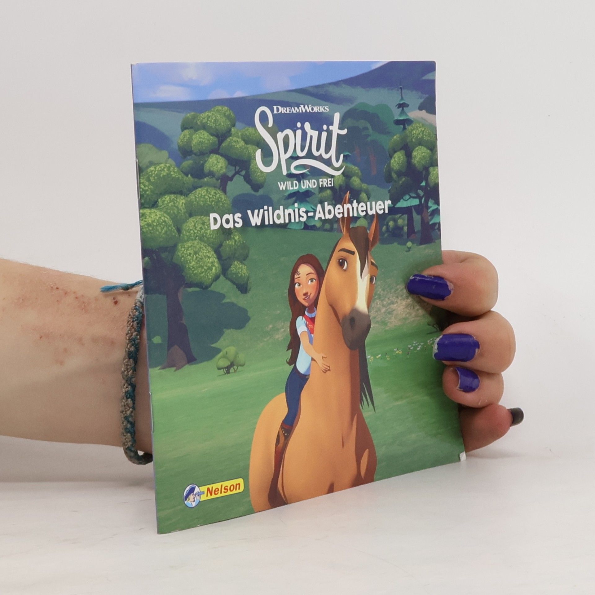 Autorenkollektiv Maxi-Mini 71: Spirit: Das Wildnis-Abenteuer (Nelson Maxi-Mini)