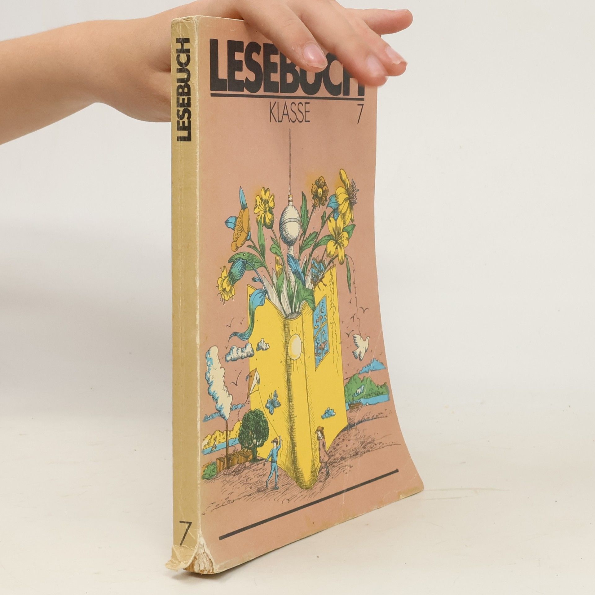 Autorenkollektiv Lesebuch. Klasse 7