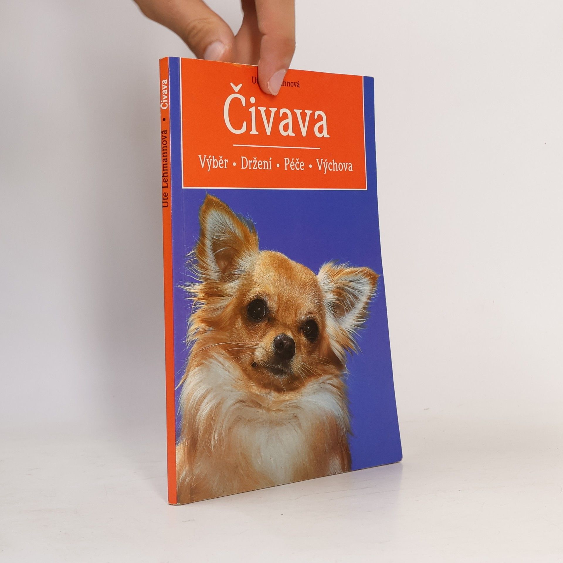 Čivava
