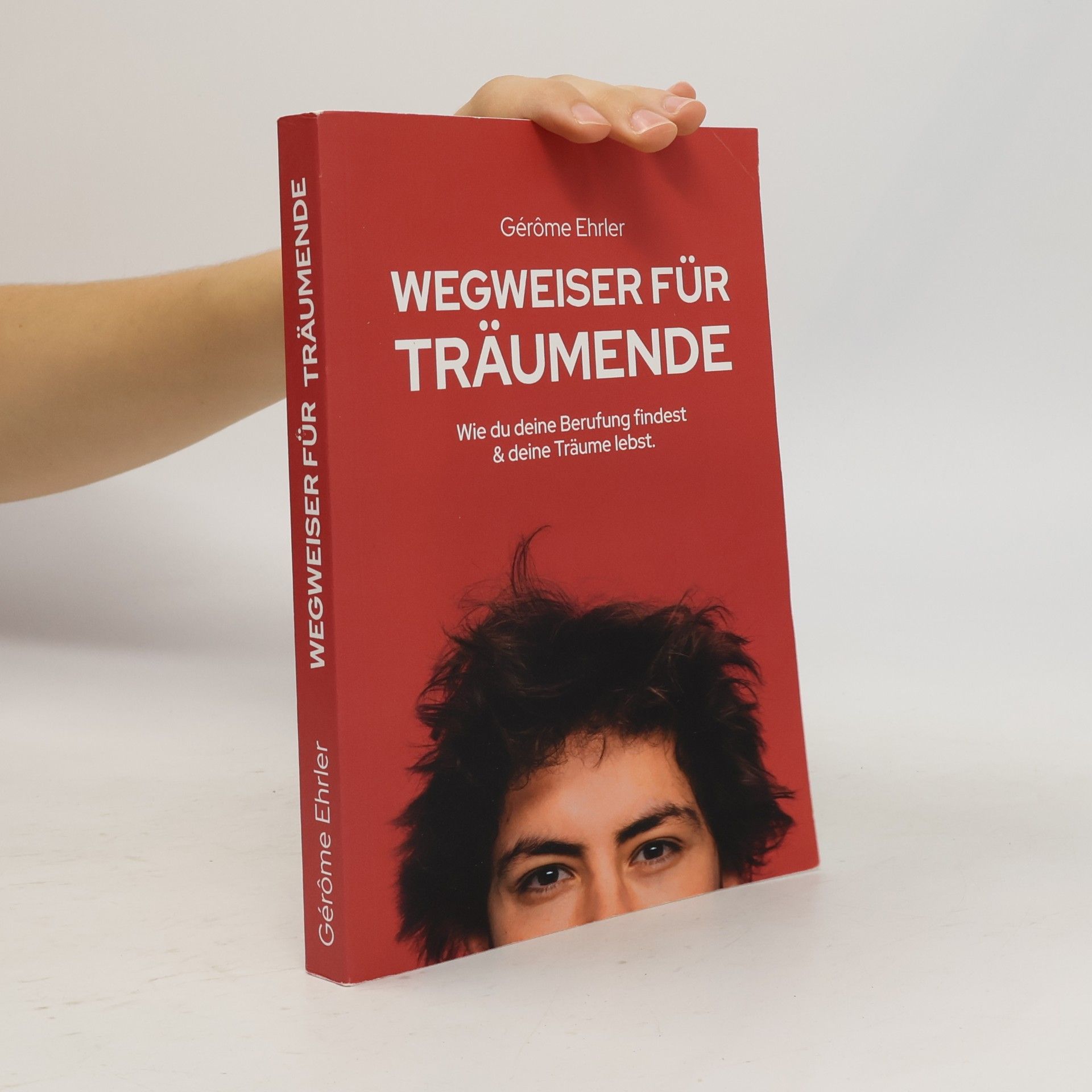 Wegweiser für Träumende