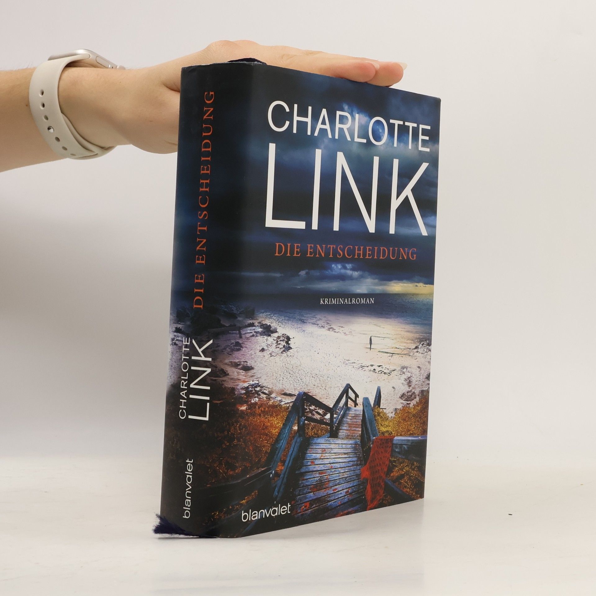 Charlotte Link Die Entscheidung