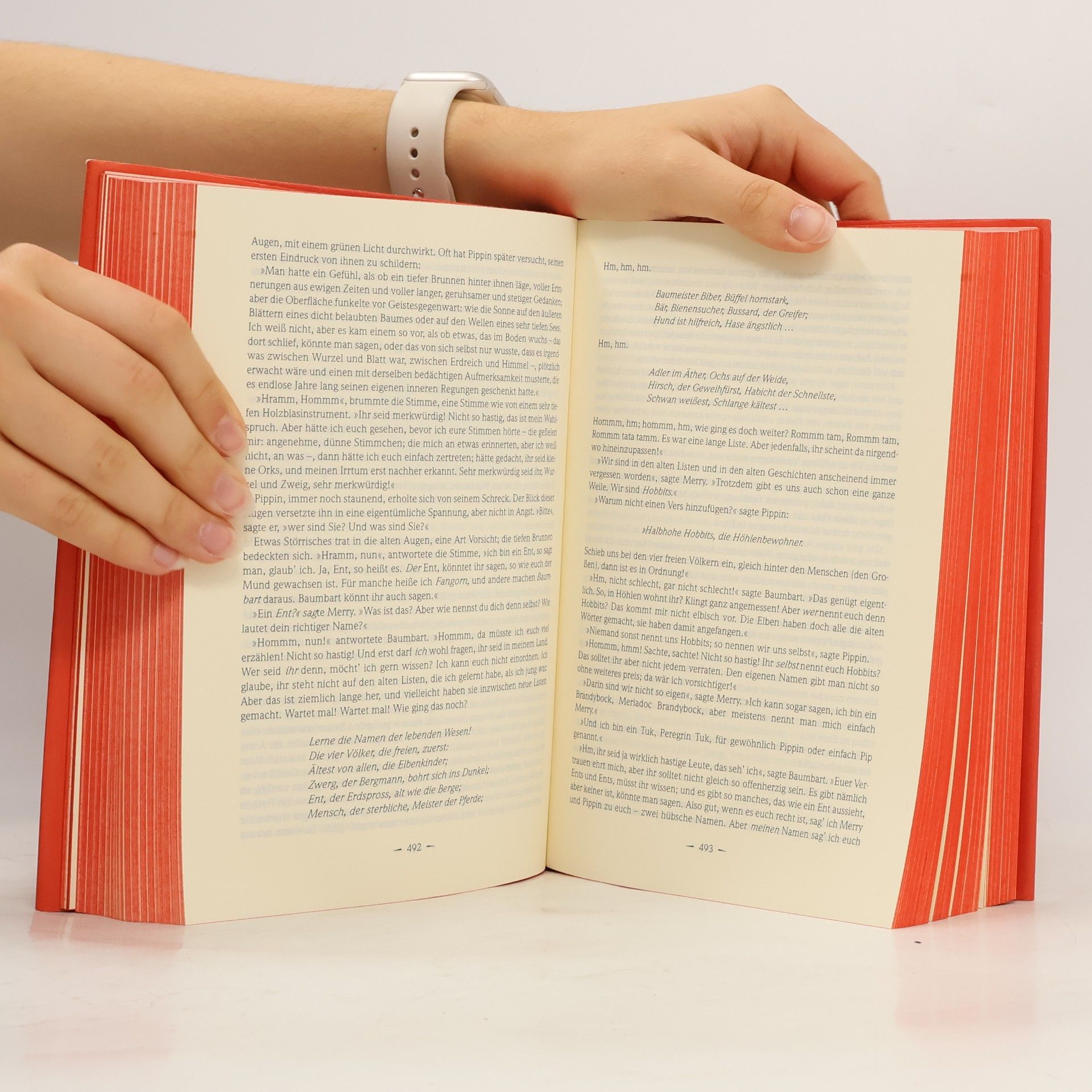 John Ronald Reuel Tolkien Der Herr der Ringe