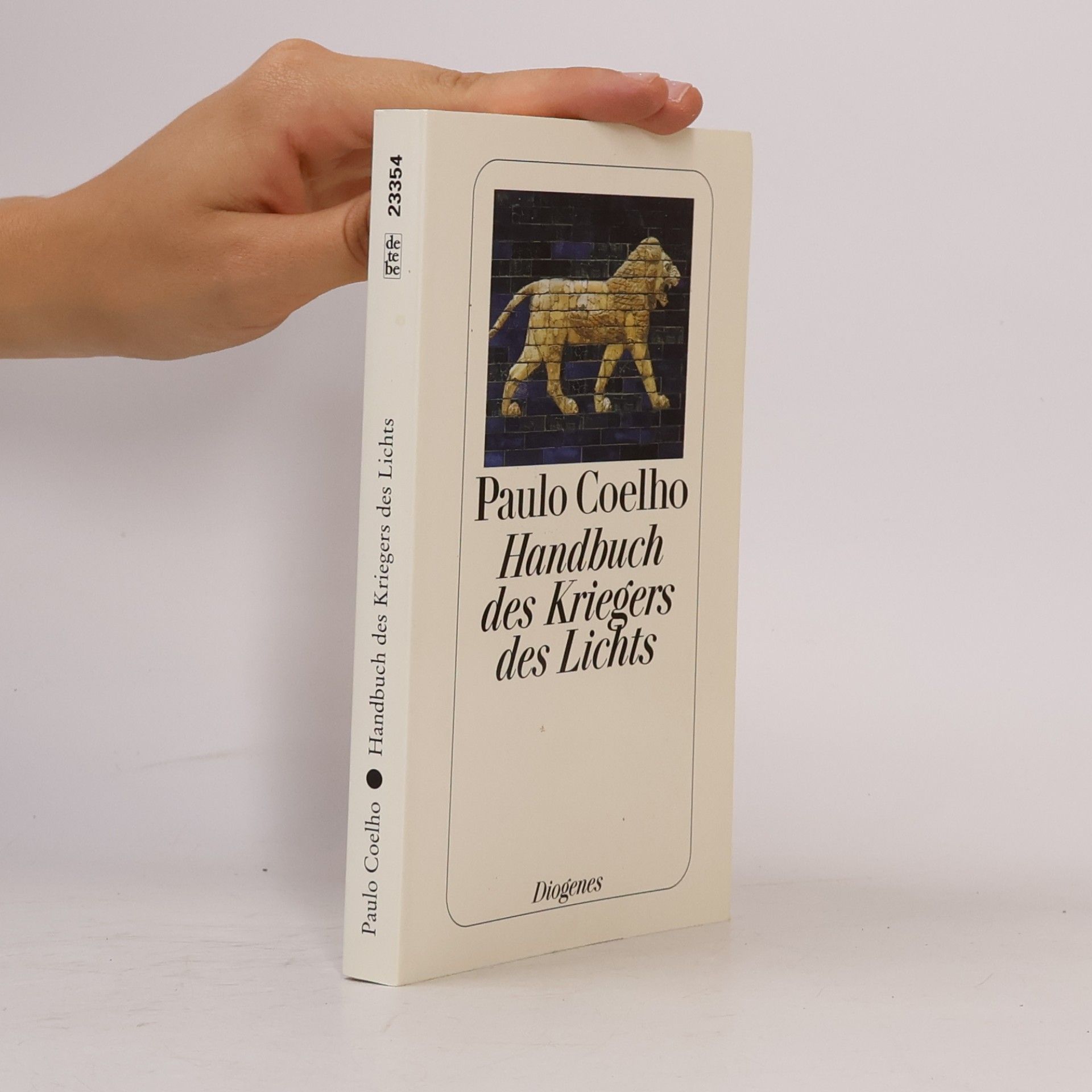 Paulo Coelho Handbuch des Kriegers des Lichts