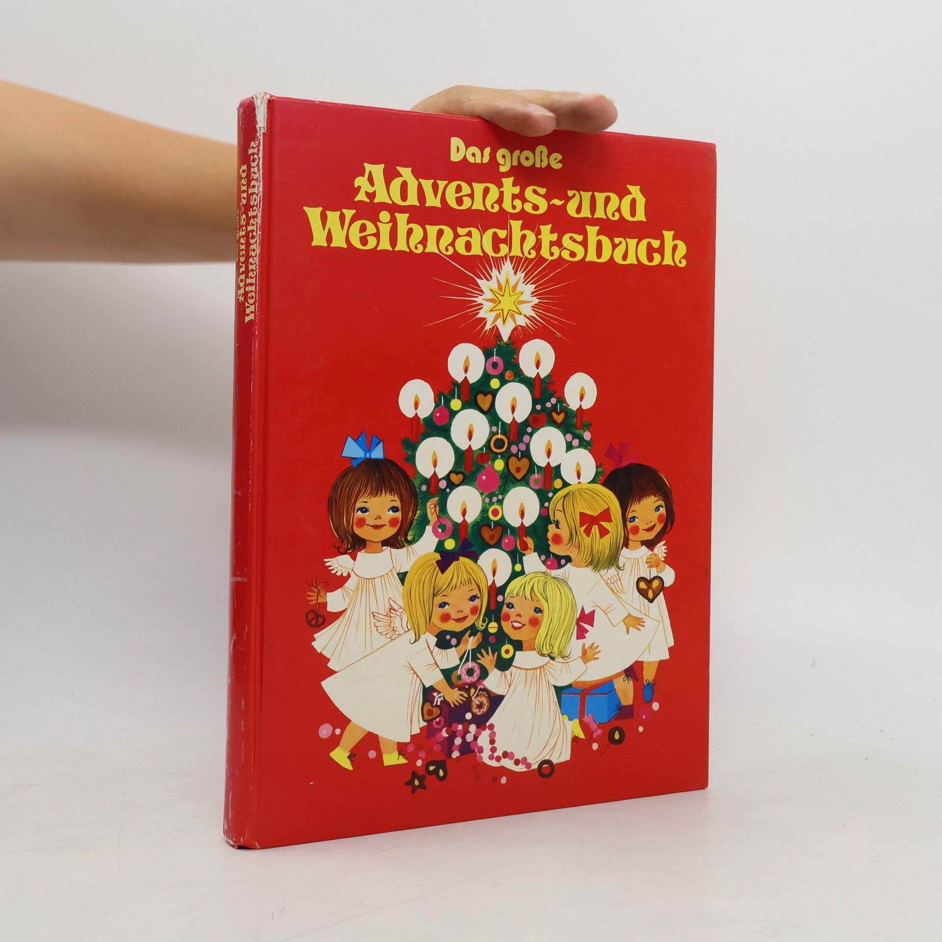 kolektiv Das grosse Advents -und Weihnachtsback