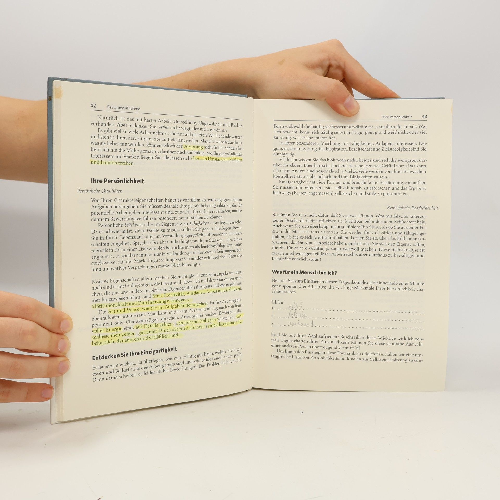 Hans Chr. Schrader Das Hesse/Schrader Bewerbungshandbuch