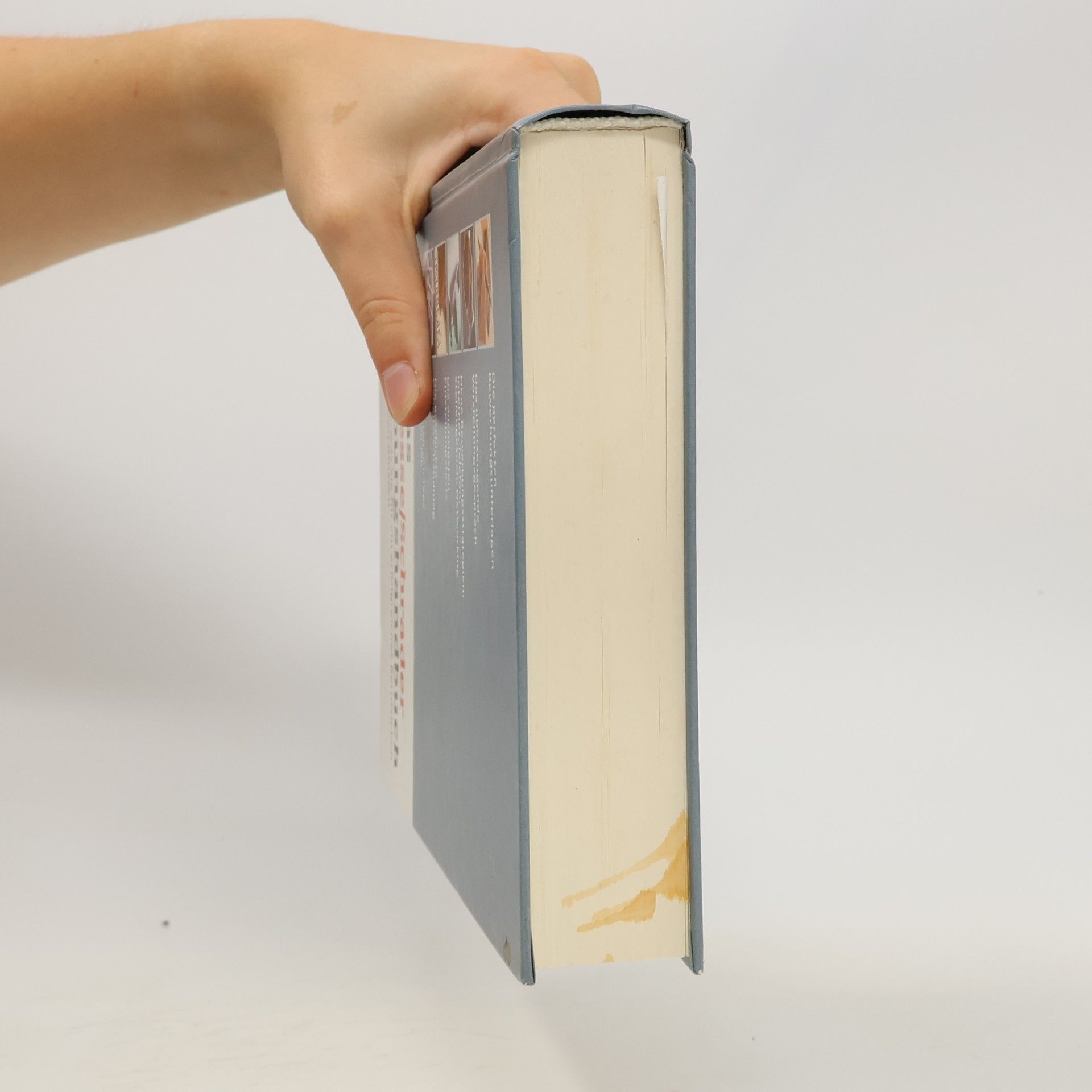 Hans Chr. Schrader Das Hesse/Schrader Bewerbungshandbuch