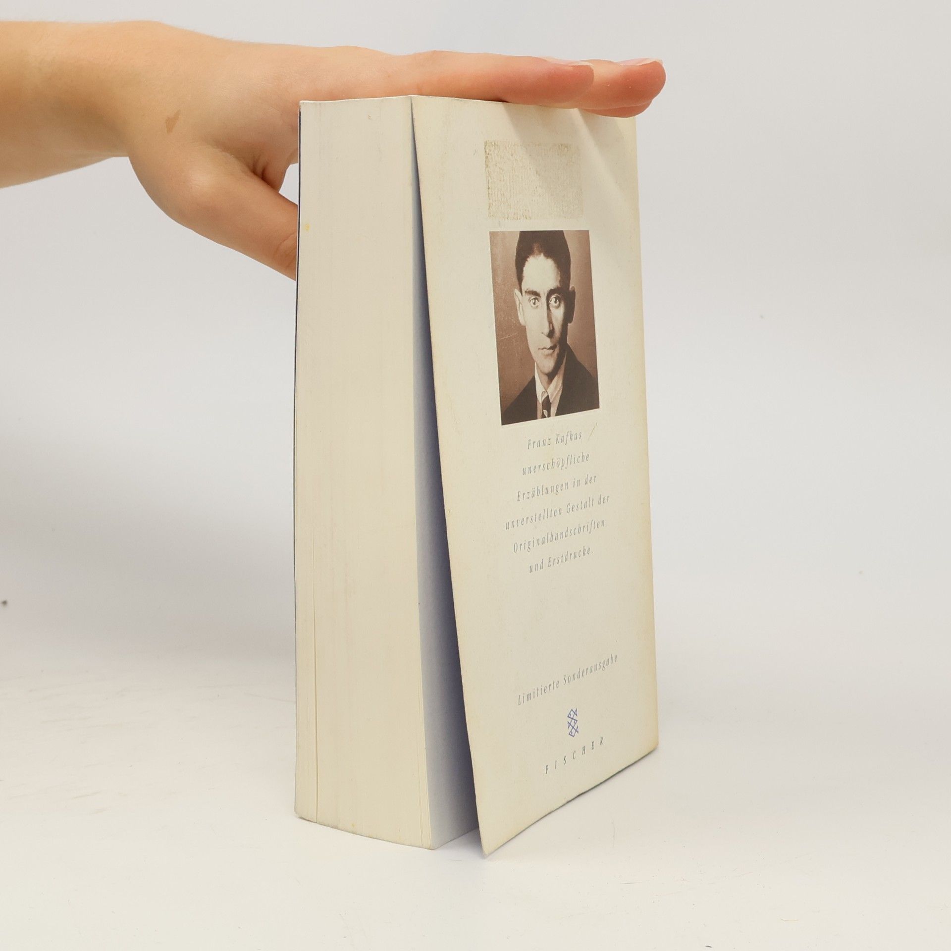 Franz Kafka Die Erzählungen