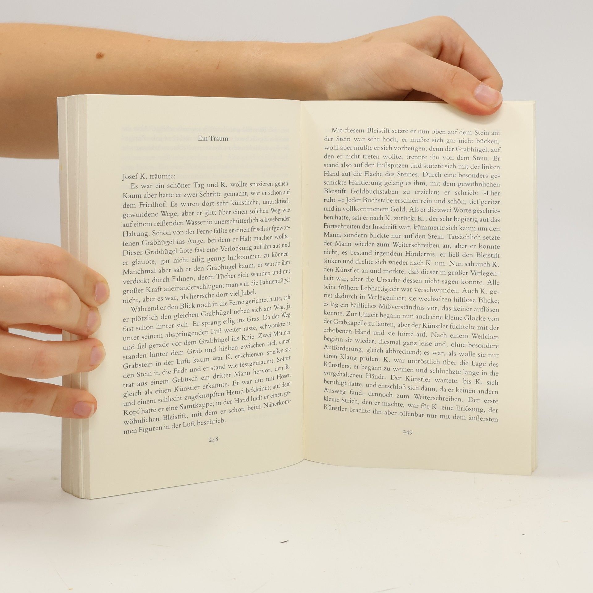 Franz Kafka Die Erzählungen