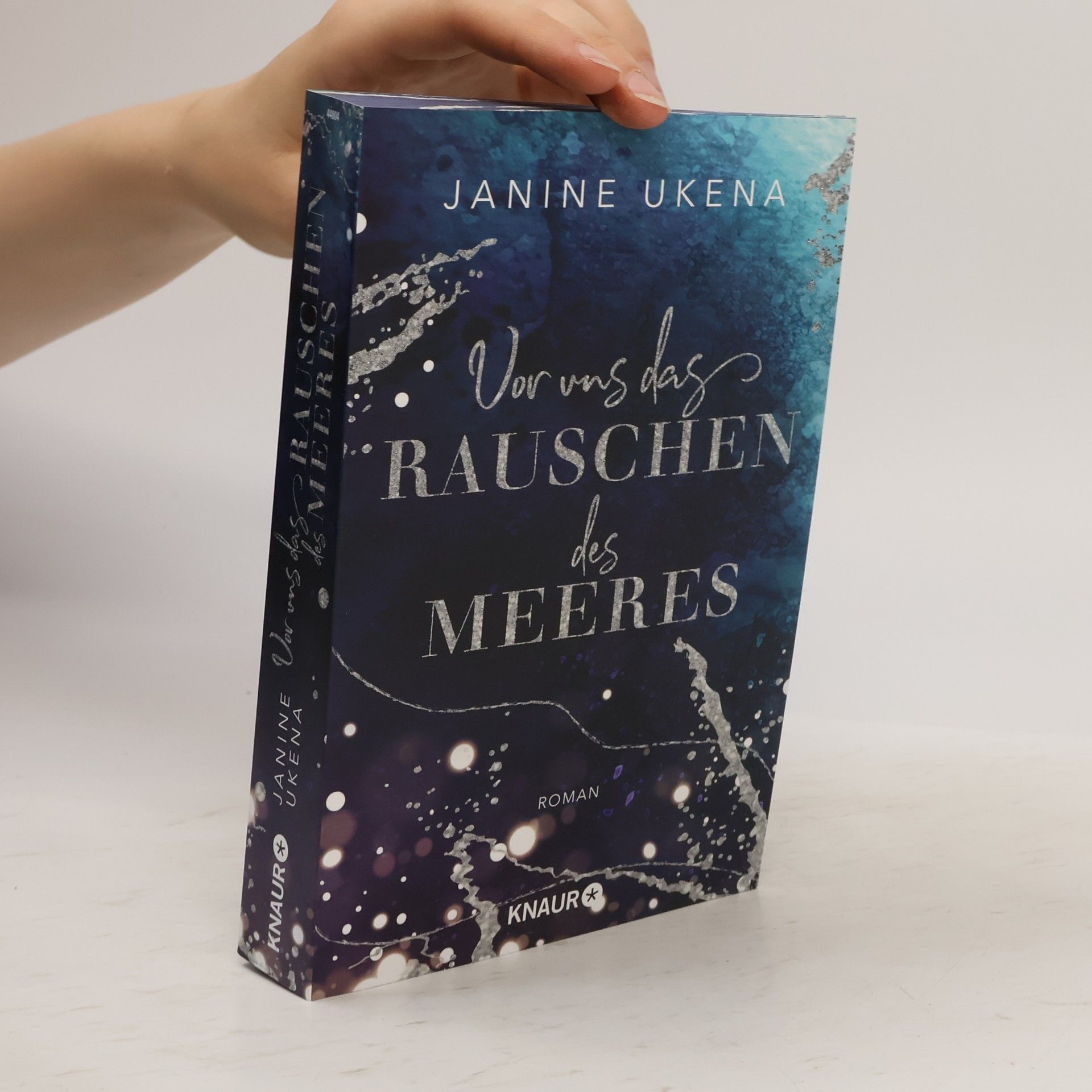 Janine Ukena Vor uns das Rauschen des Meeres