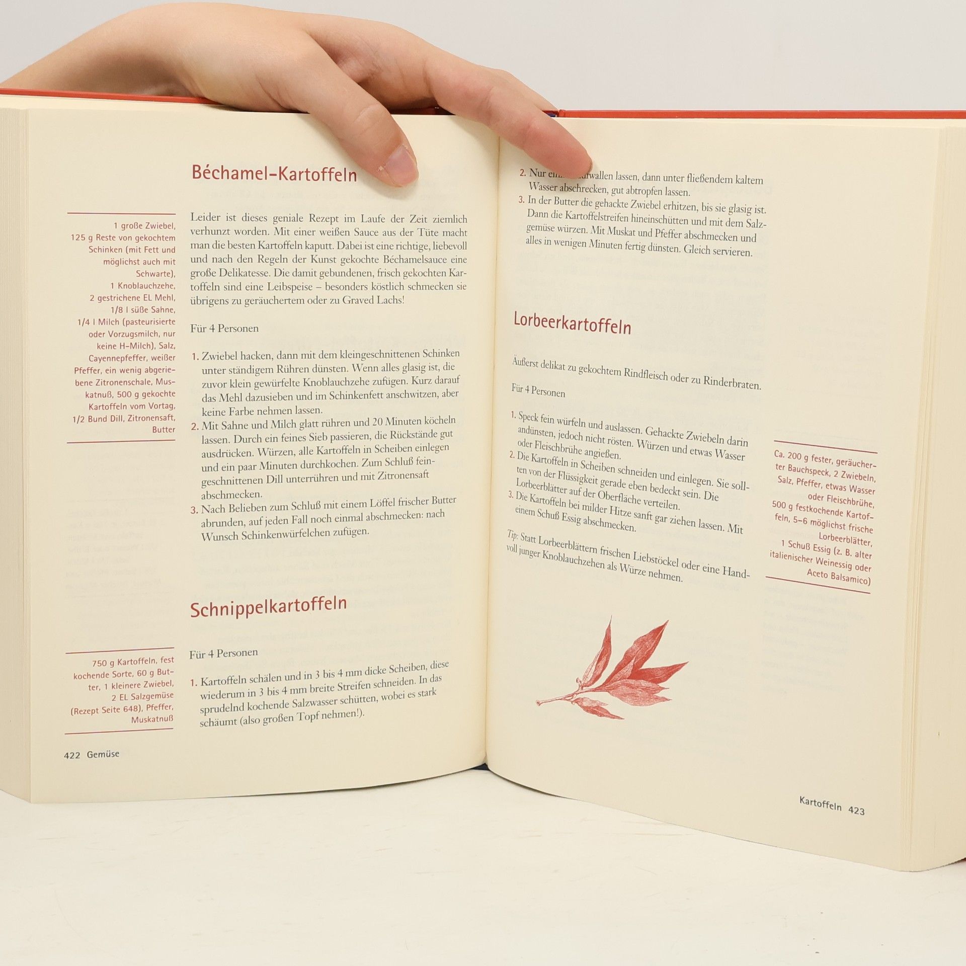 Martina Meuth Das Kochbuch