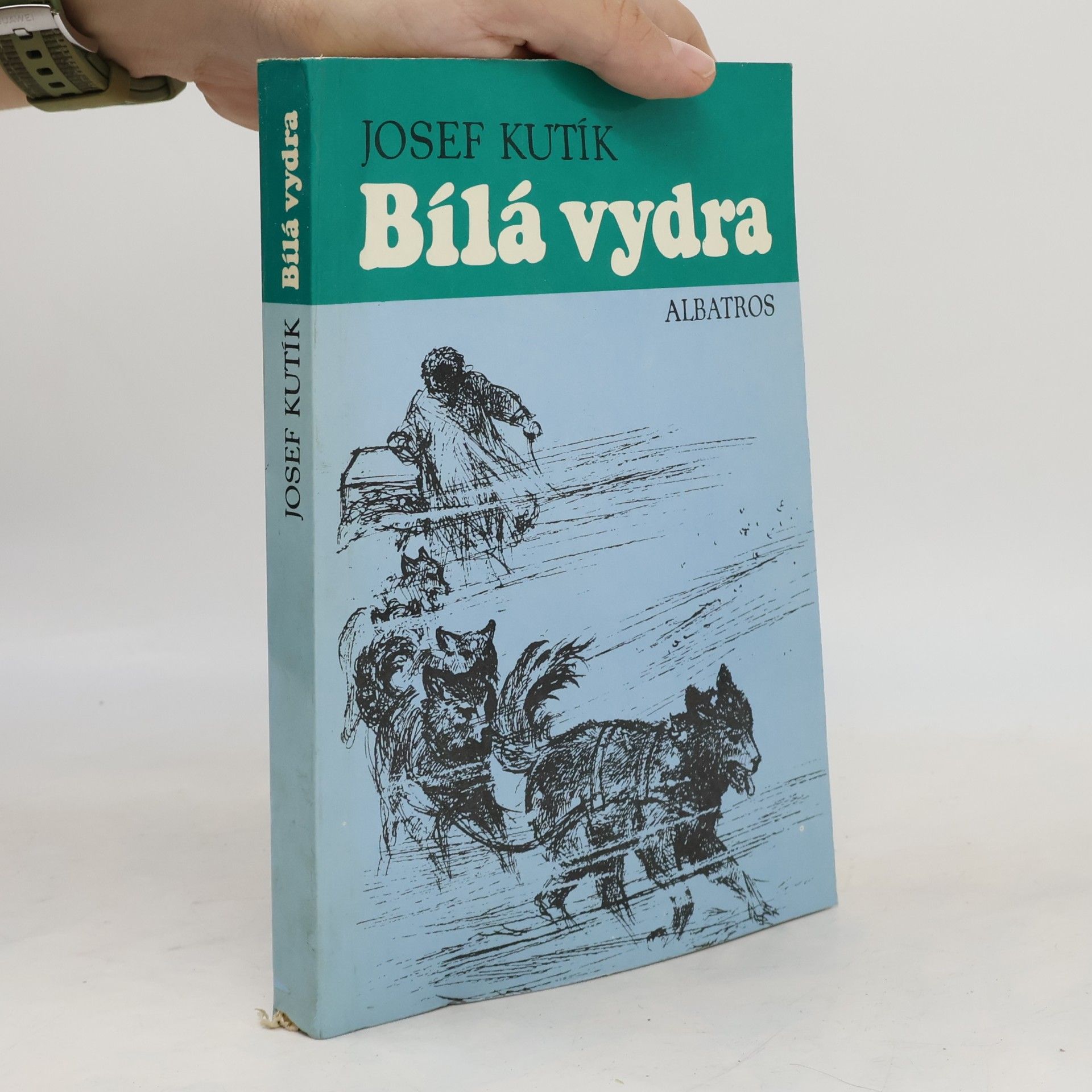 Bílá vydra