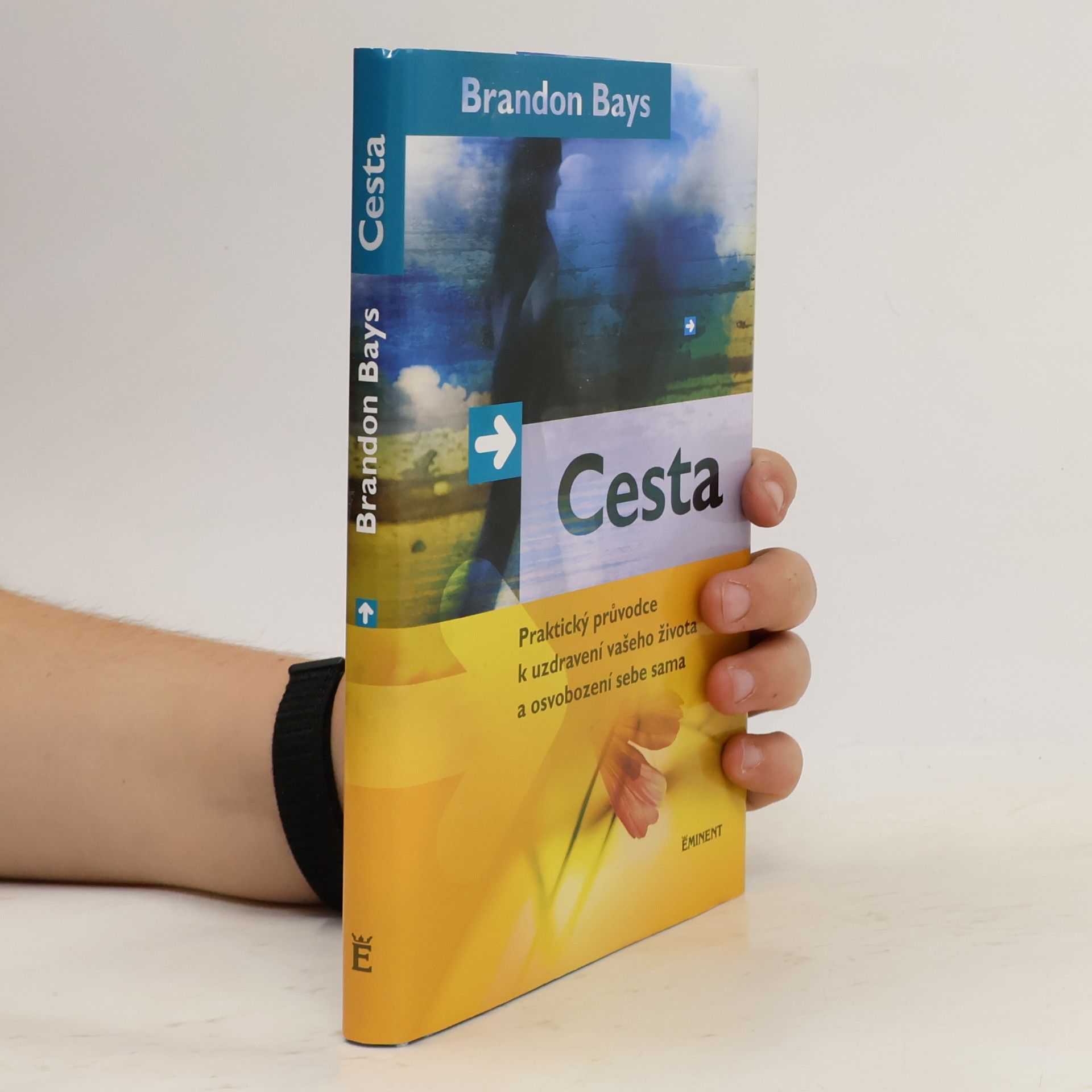 Brandon Bays Cesta