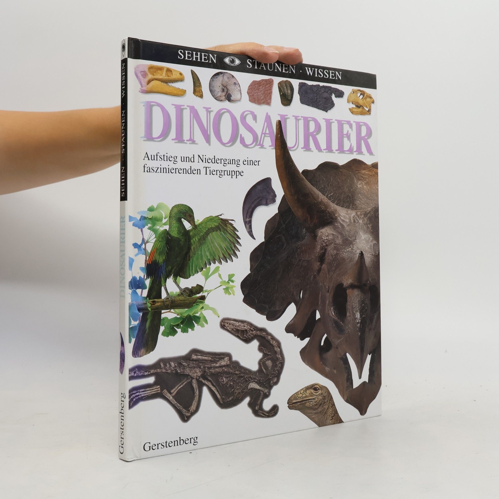 Autorenkollektiv Dinosaurier